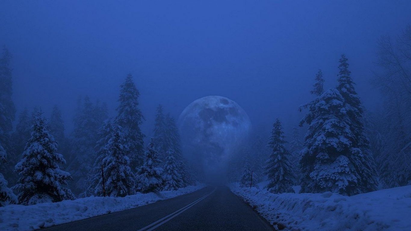 Full Moon Over Winter Forest Wallpapers