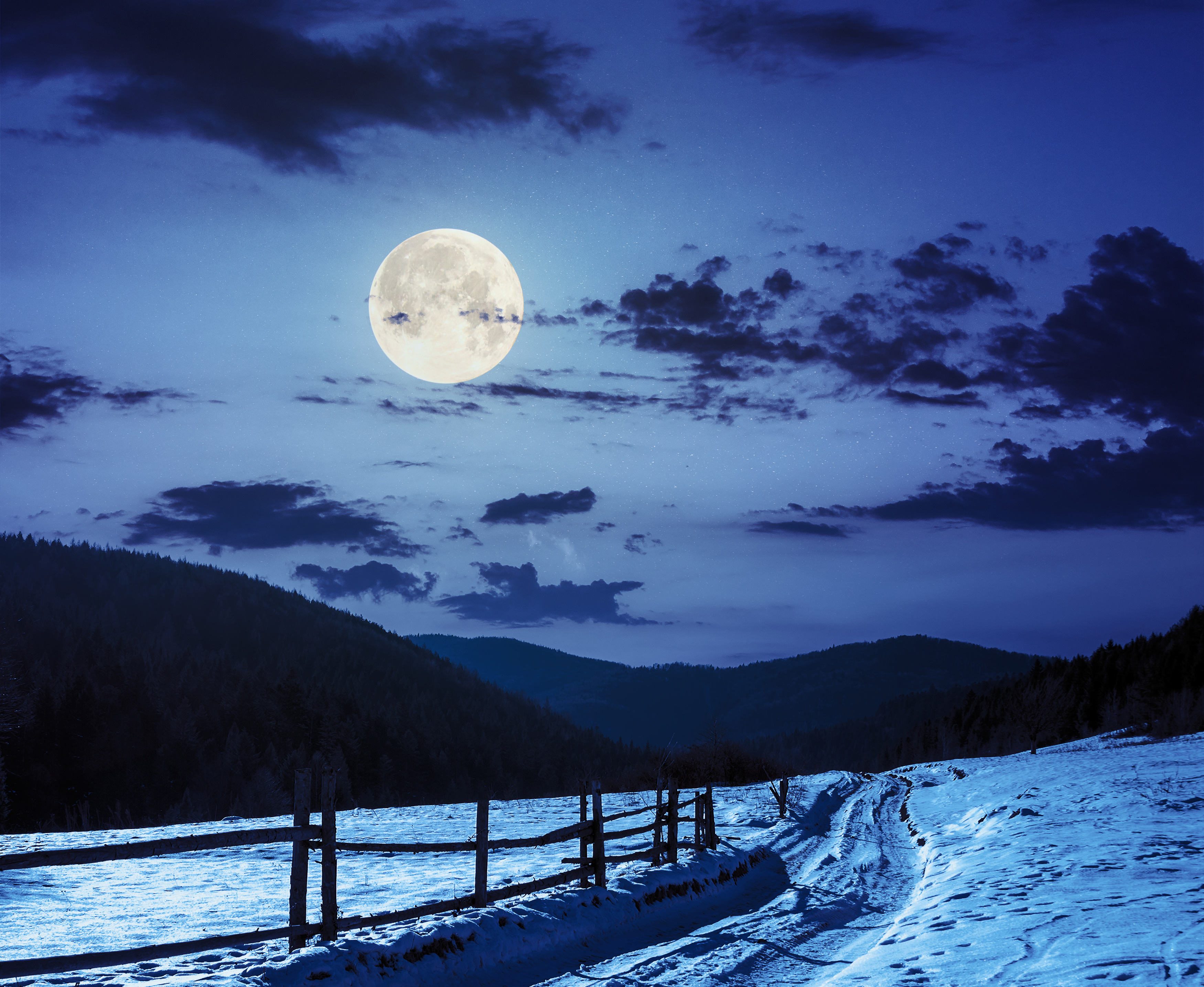 Full Moon Over Winter Forest Wallpapers