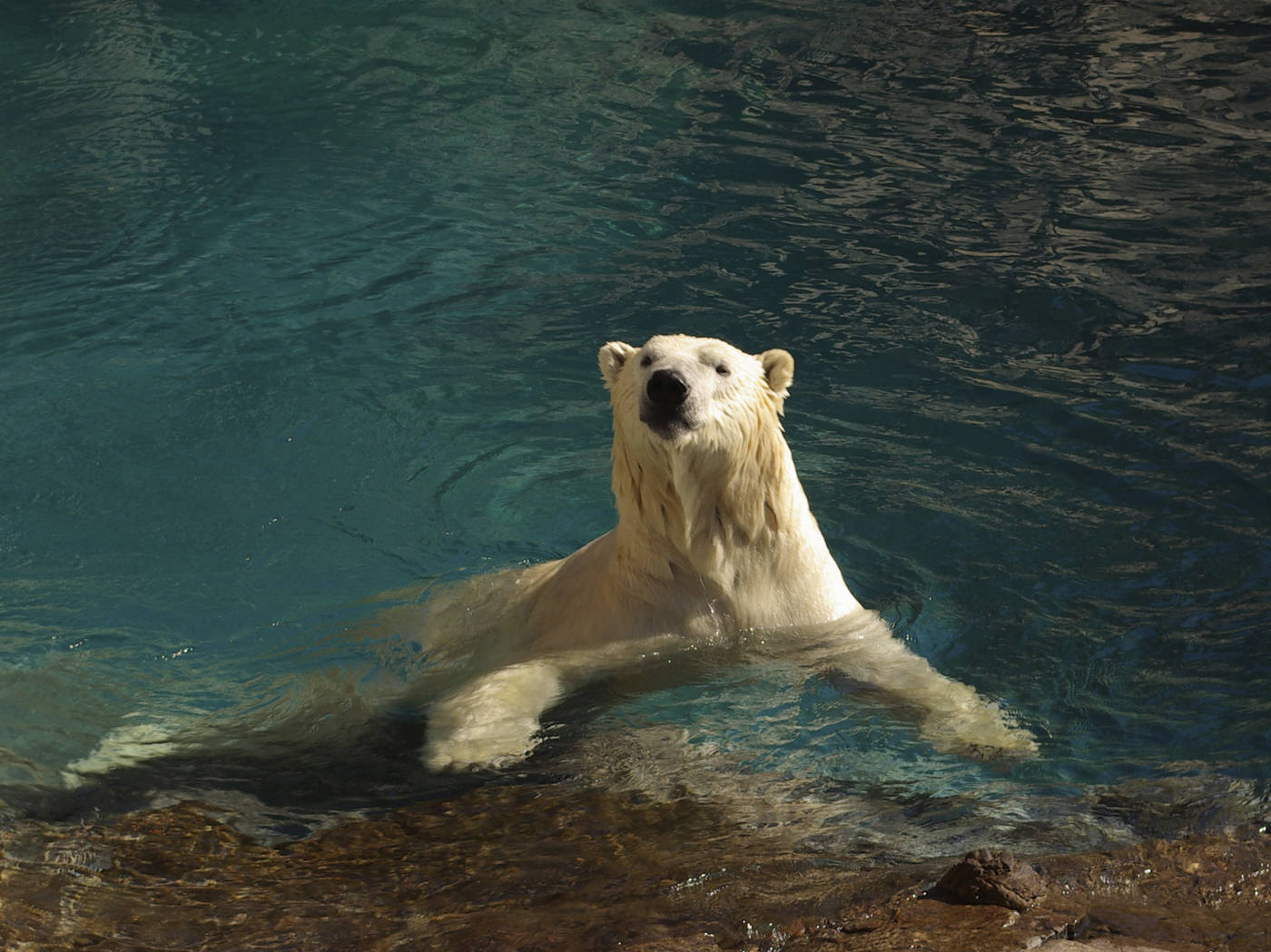 Gates Of The Arctic National Park And Preserve Wallpapers