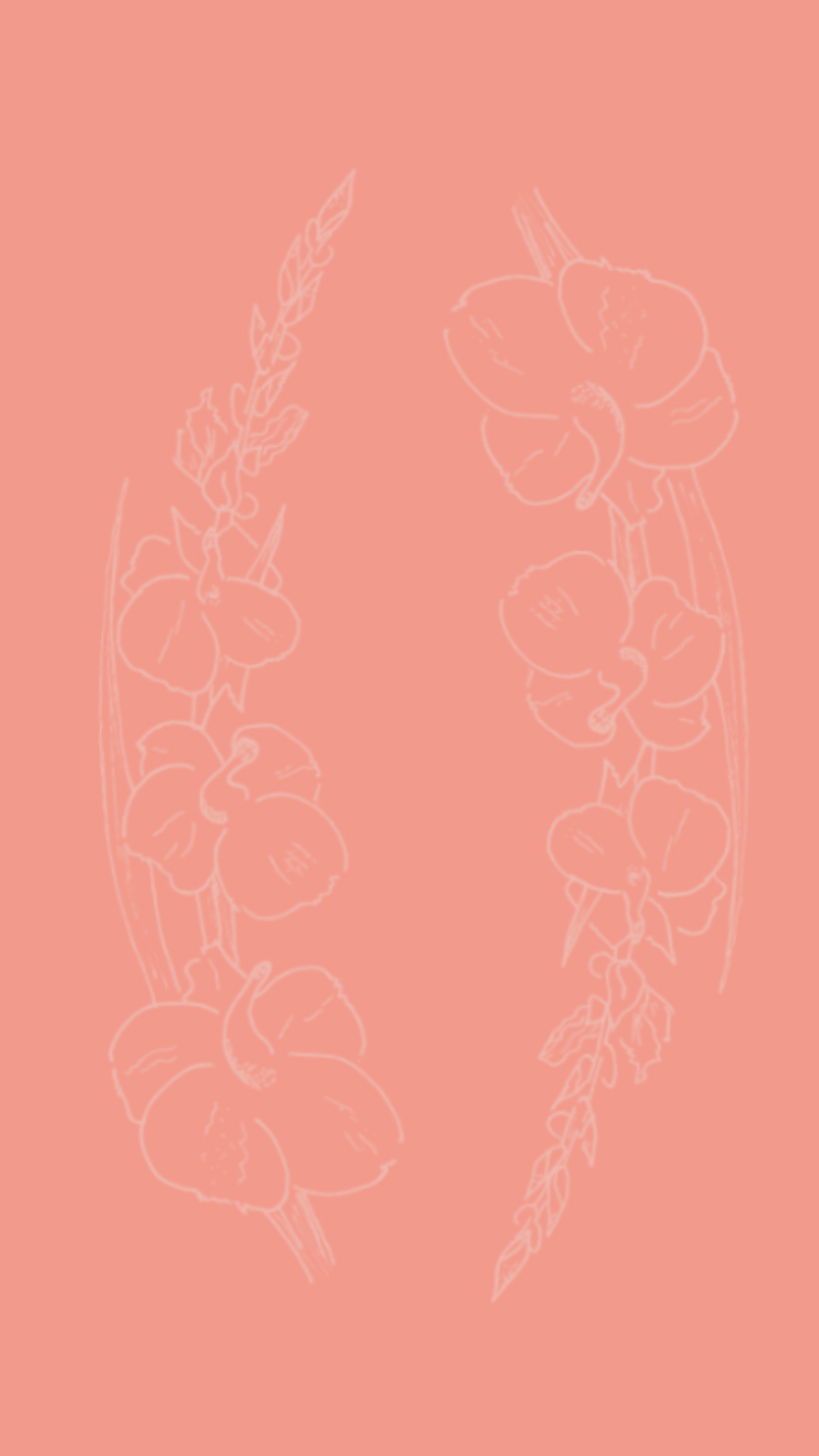 Gladiolus Wallpapers