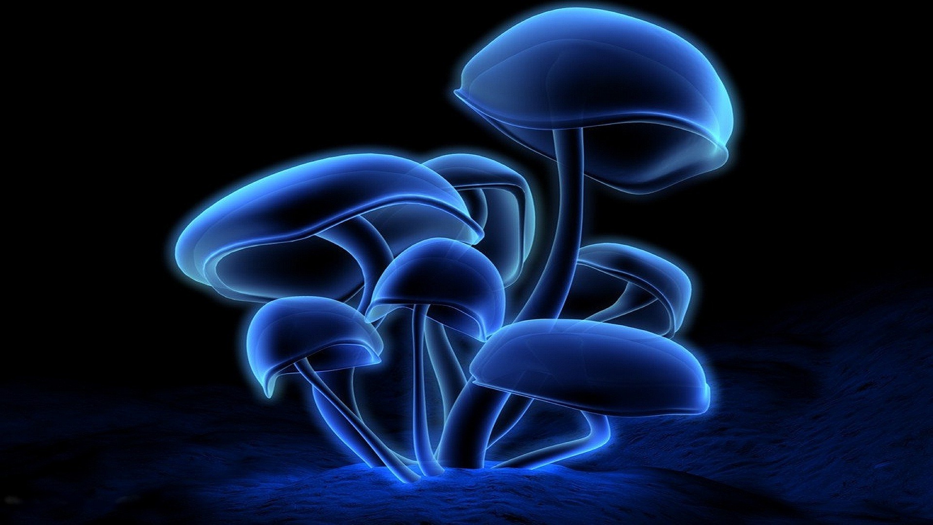 Glowing Mushroom Wallpapers
