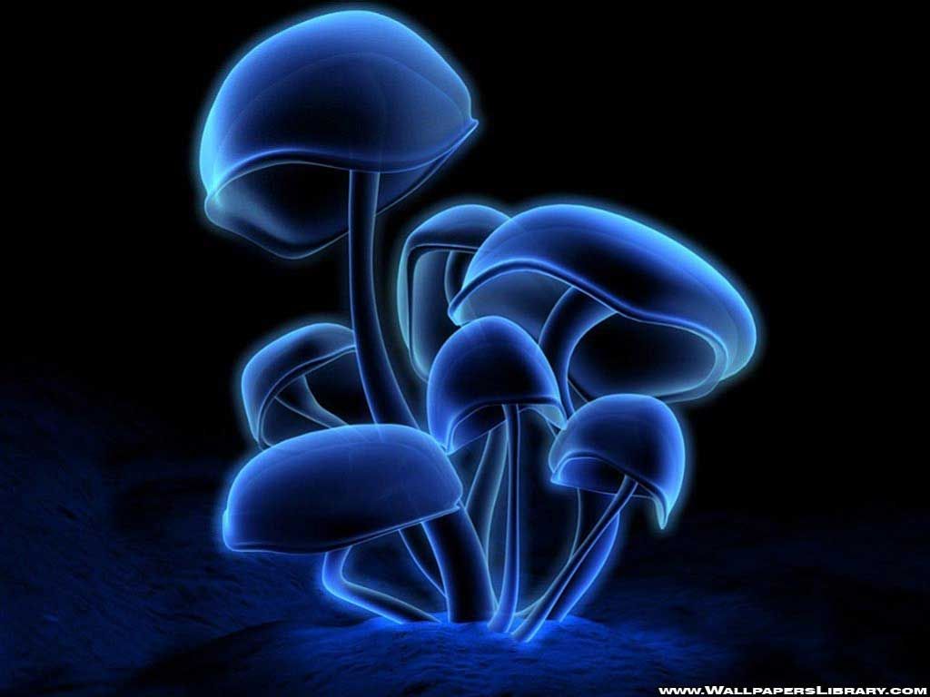 Glowing Mushroom Wallpapers