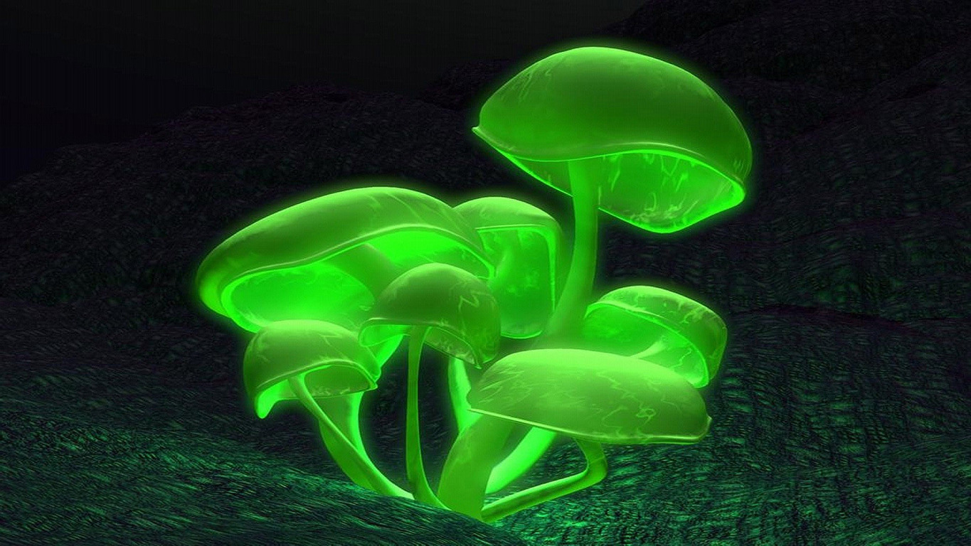 Glowing Mushroom Wallpapers