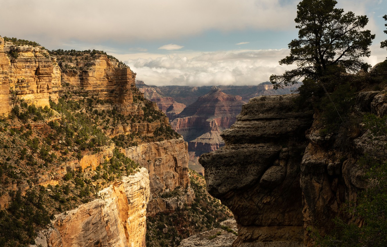 Grand Canyon National Park Wallpapers