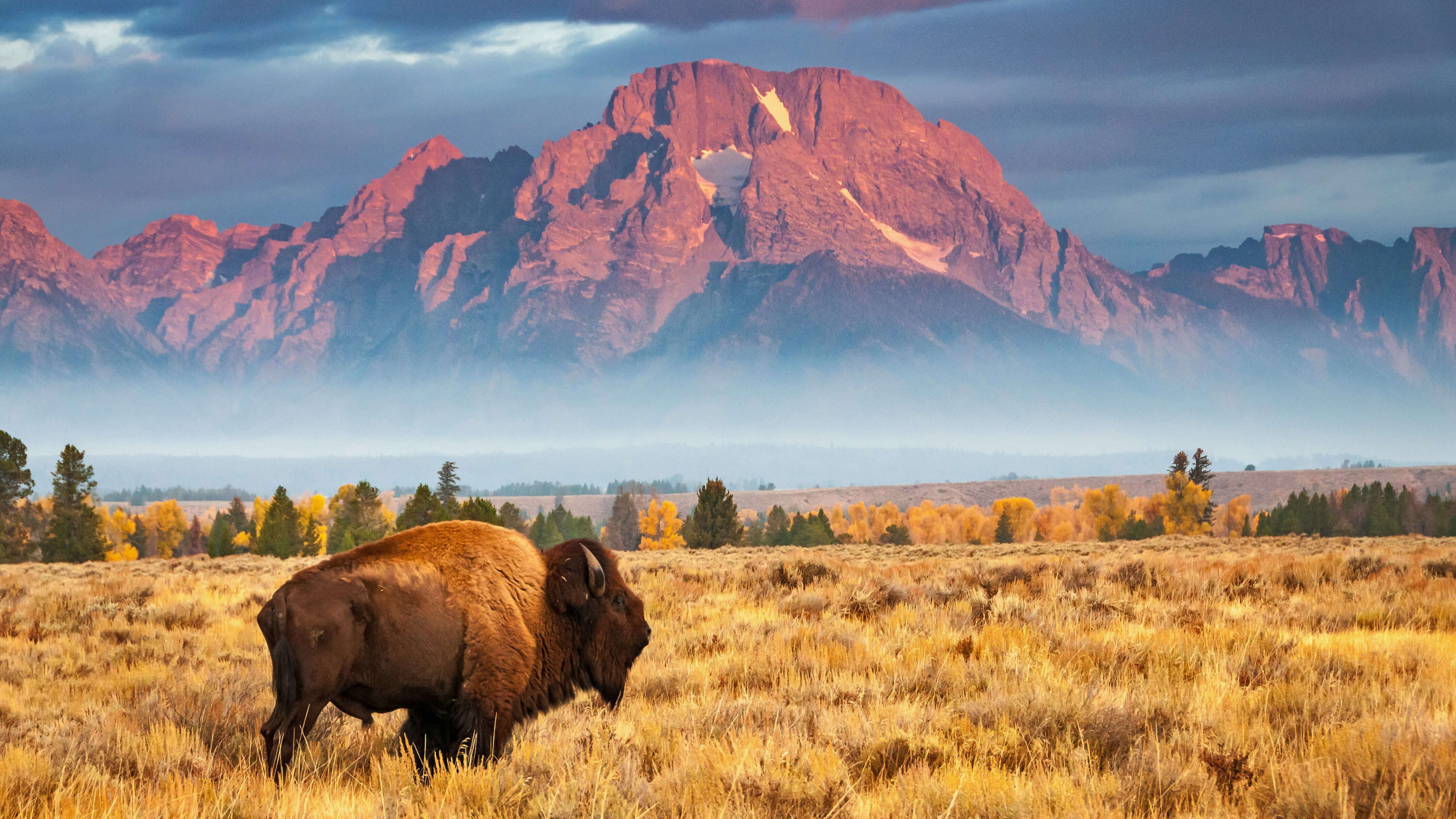 Grand Teton National Park 5K Wallpapers