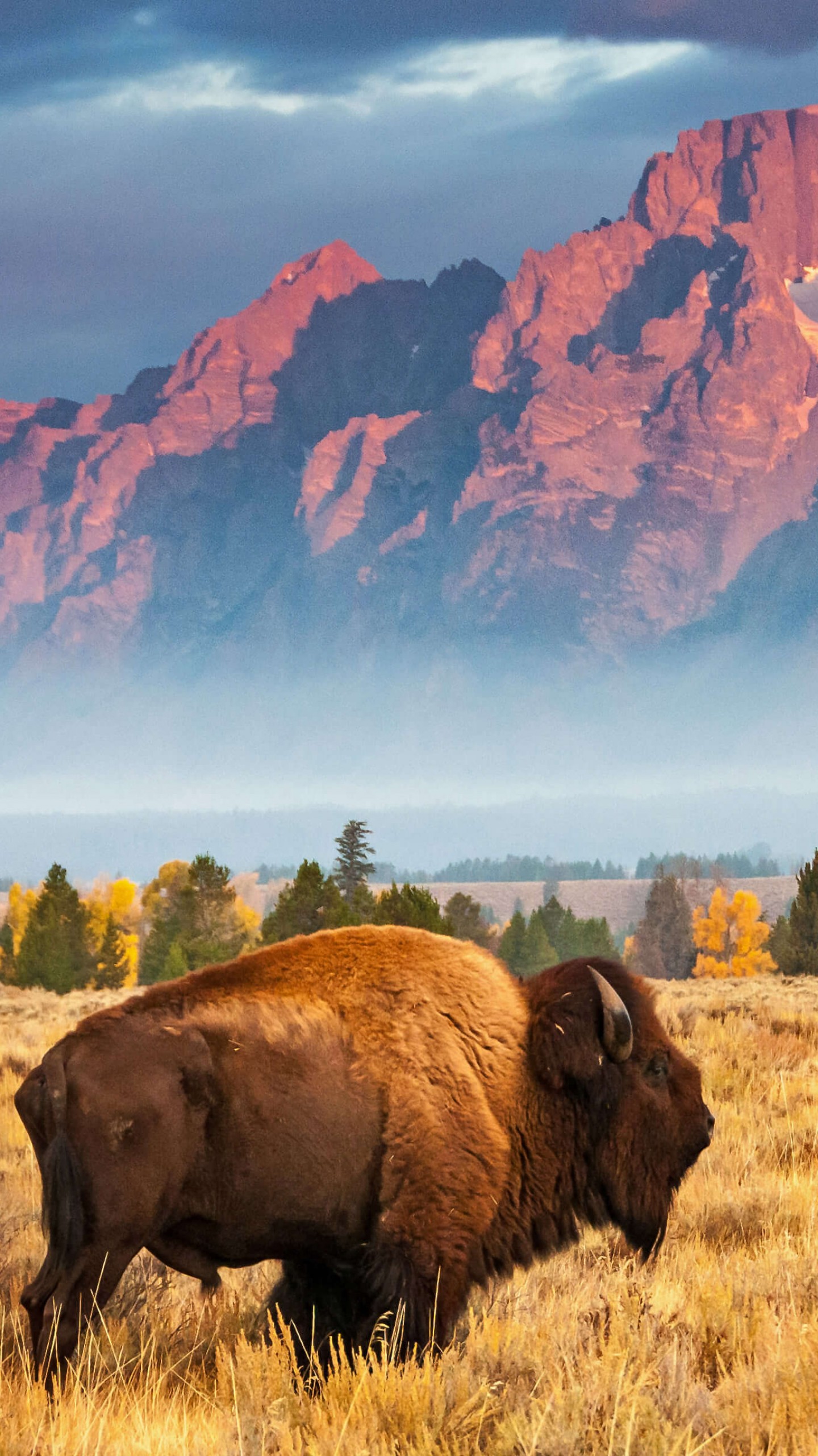 Grand Teton National Park 5K Wallpapers