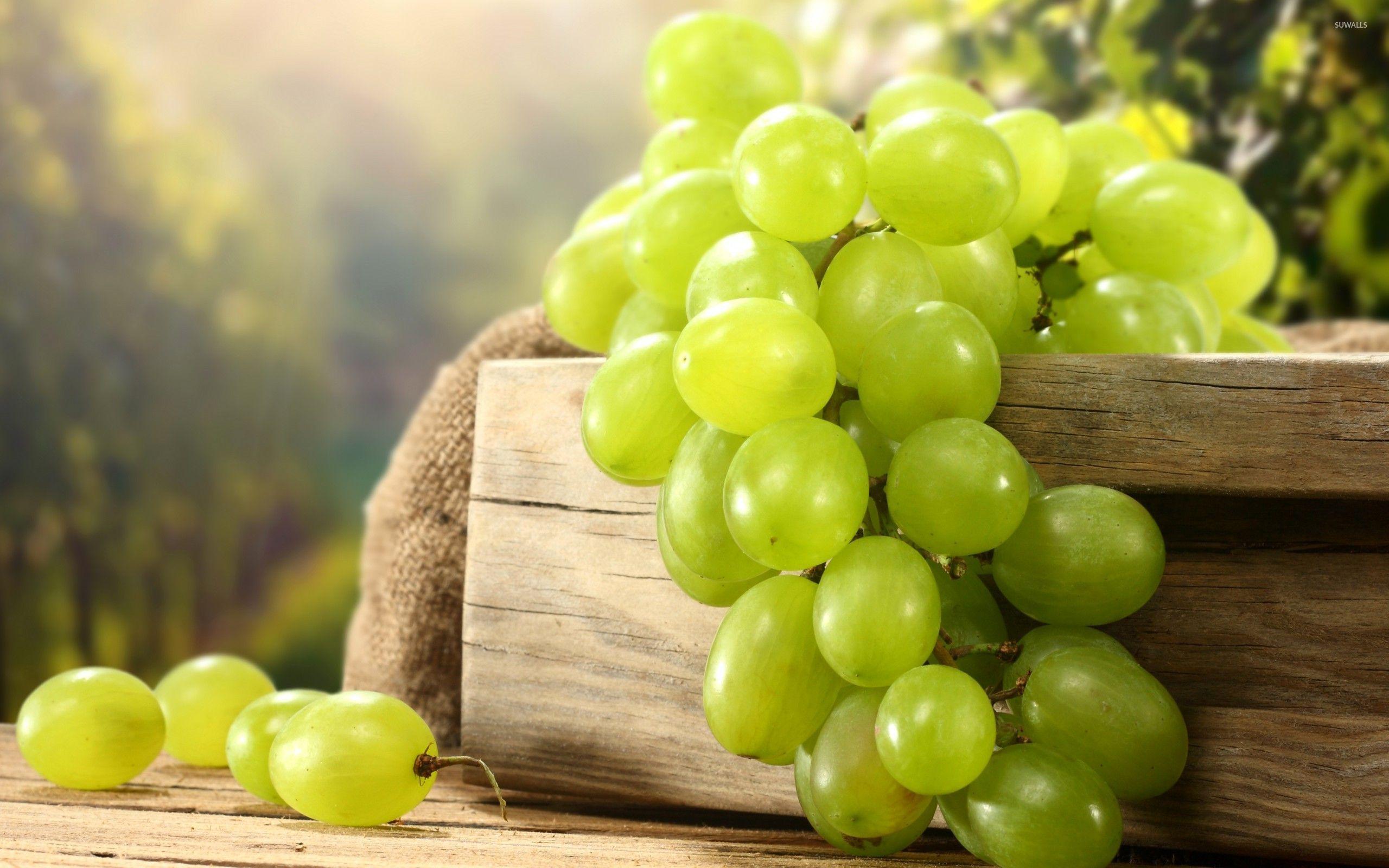 Grape Wallpapers