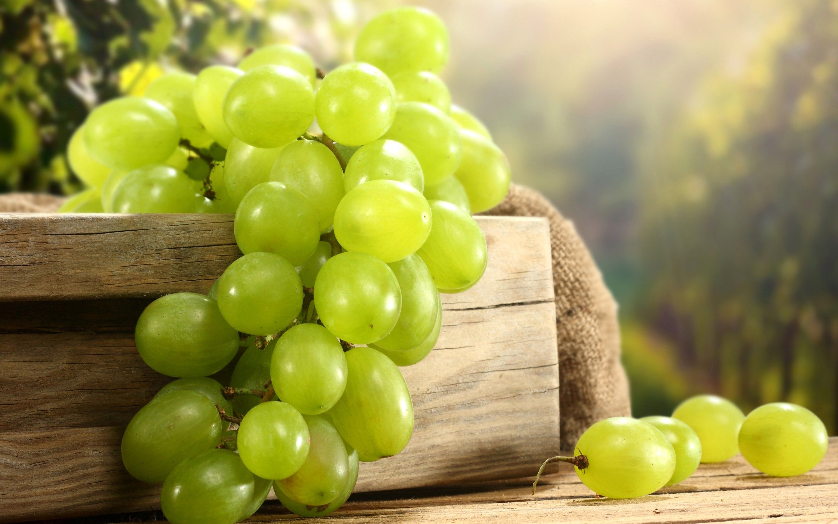 Grape Wallpapers