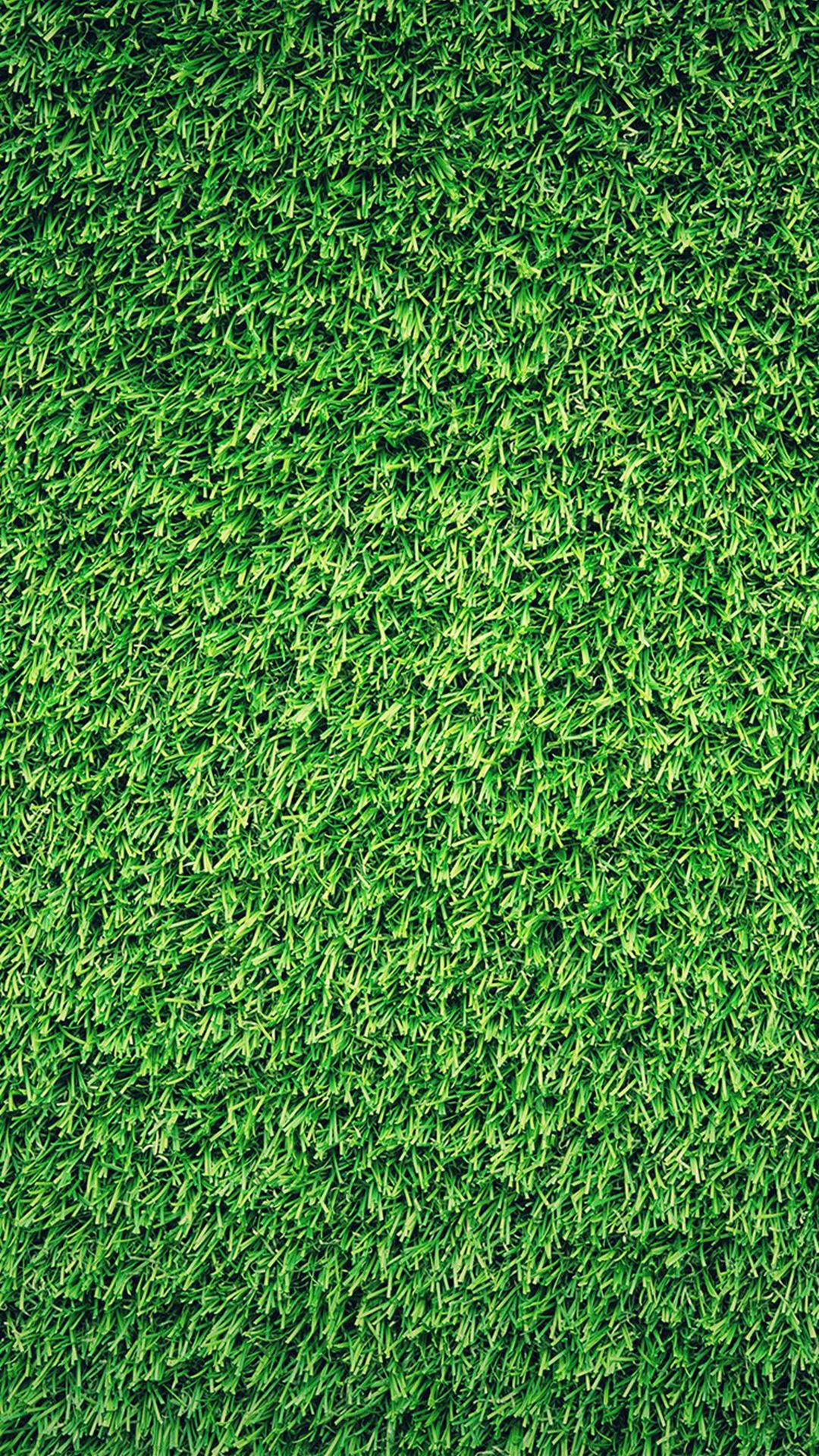 Grass Wallpapers