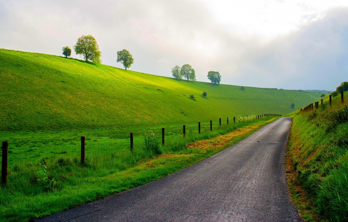 Grass Covered Mountain Road Wallpapers