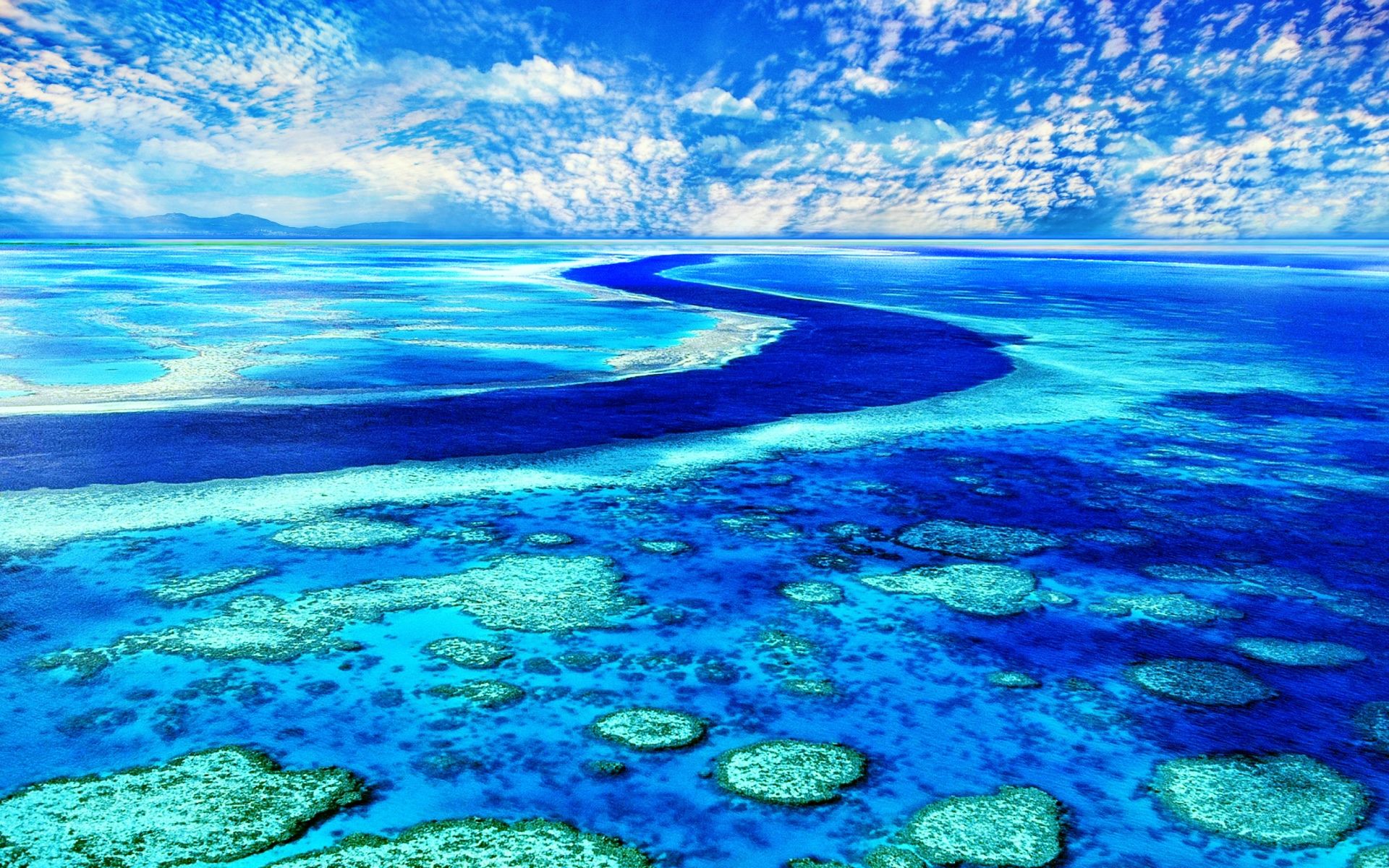 Great Barrier Reef Wallpapers