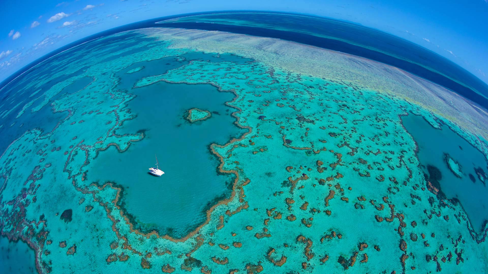 Great Barrier Reef Wallpapers