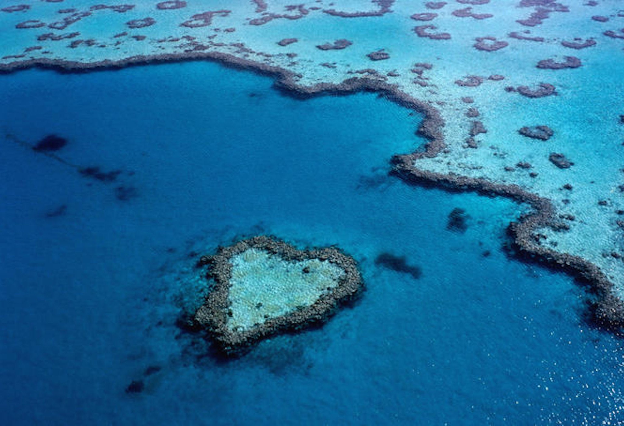 Great Barrier Reef Wallpapers