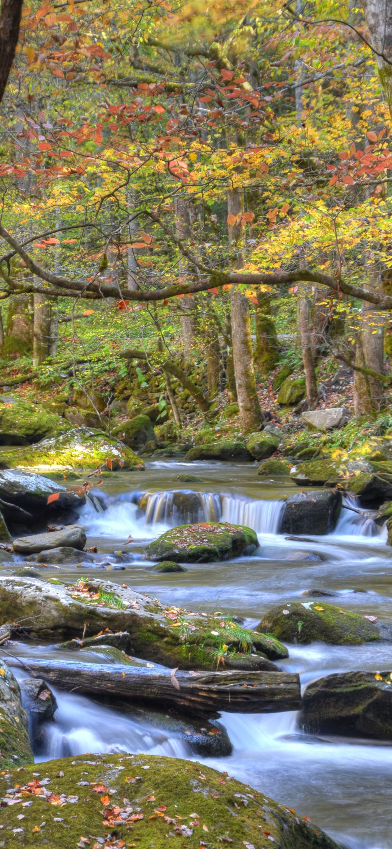 Great Smoky Mountains National Park Wallpapers