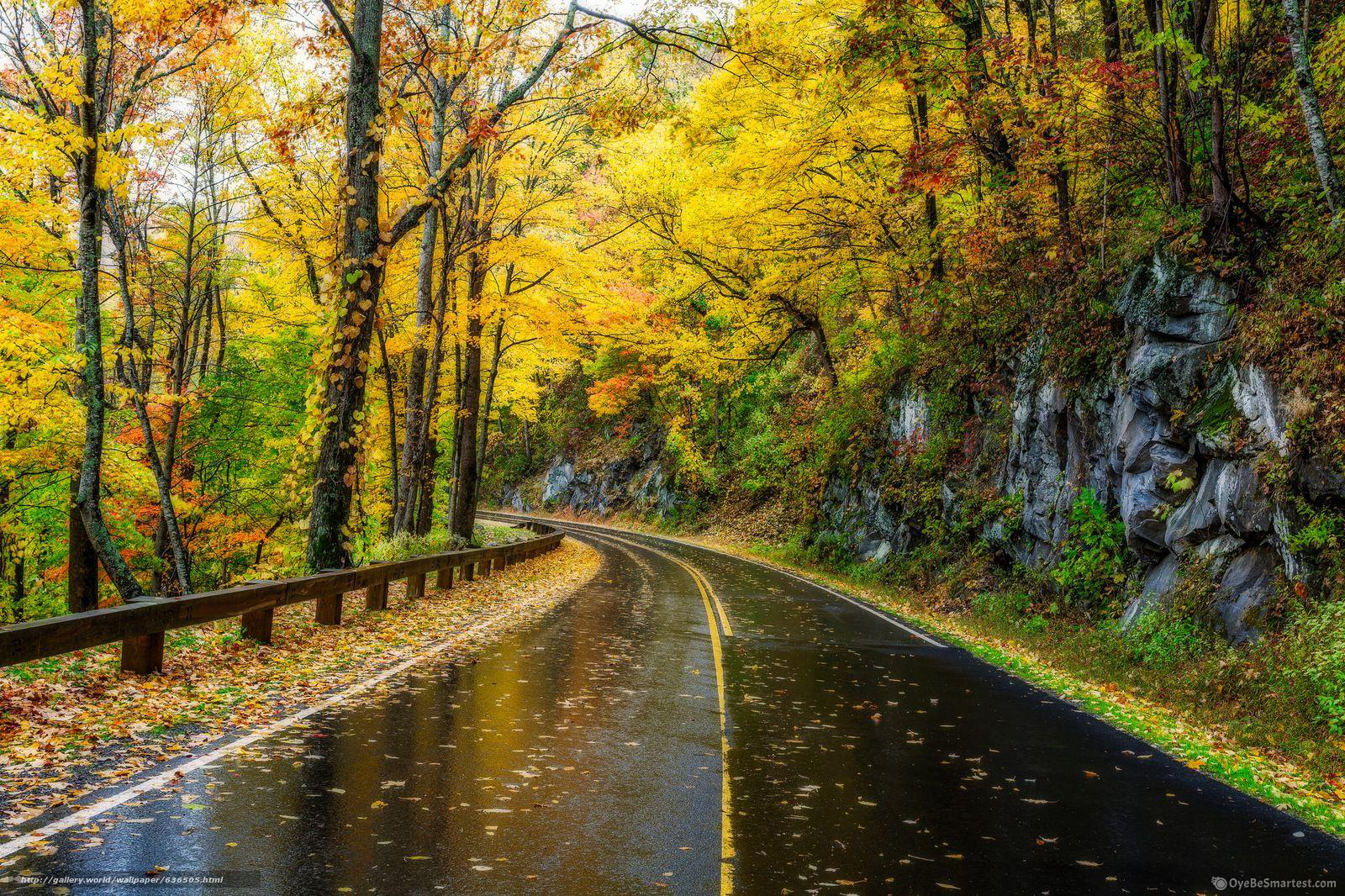 Great Smoky Mountains National Park Wallpapers