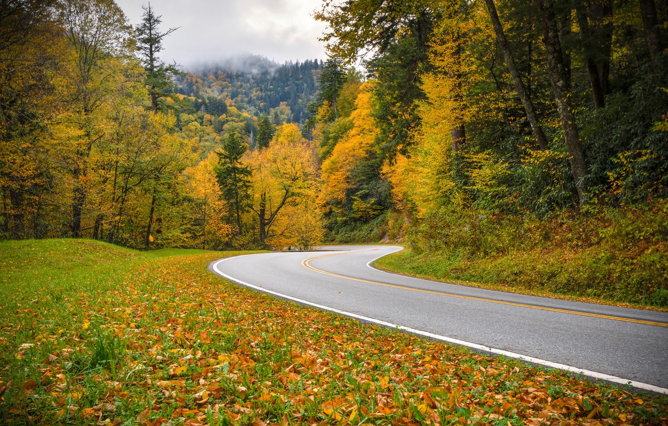 Great Smoky Mountains National Park Wallpapers