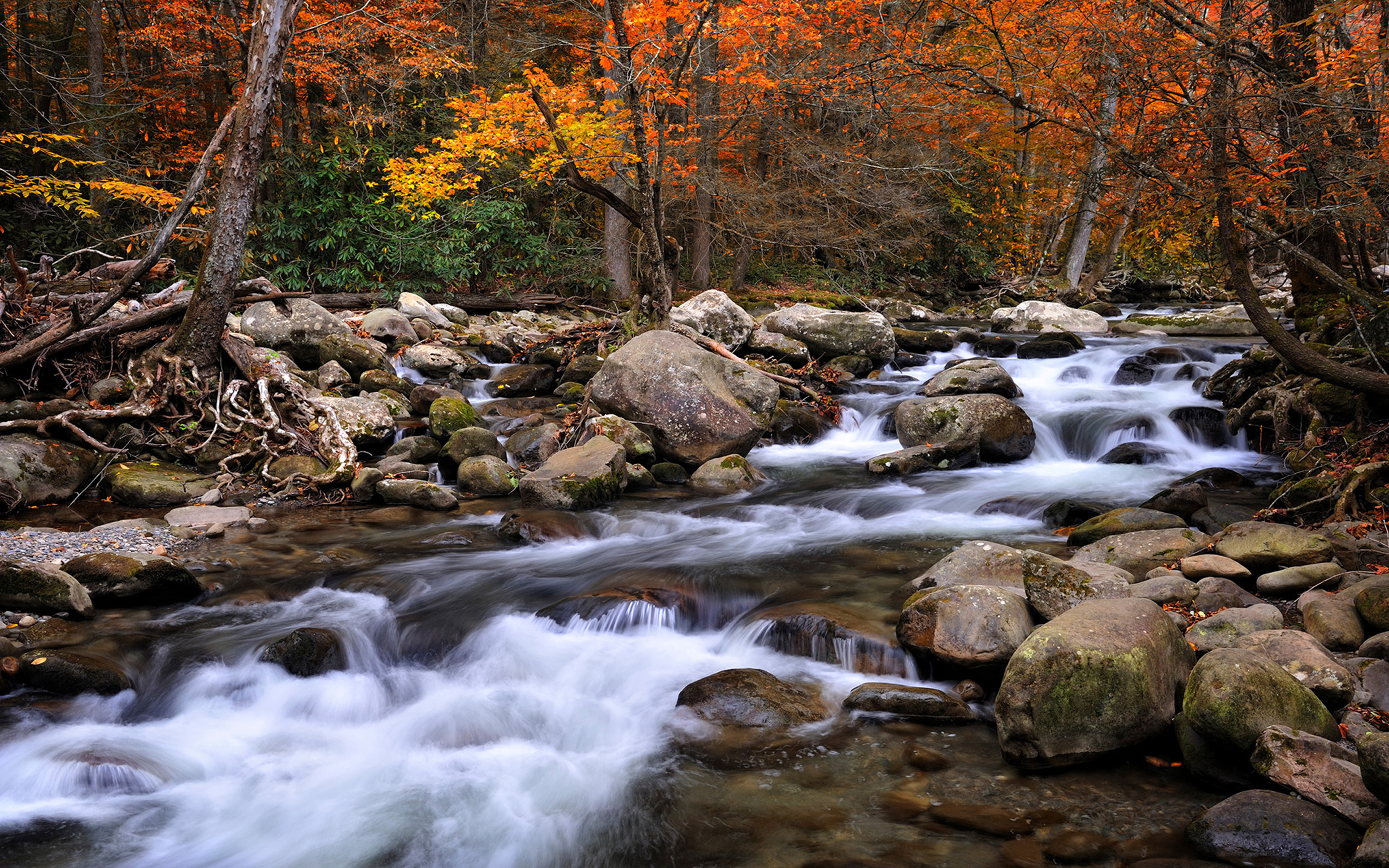 Great Smoky Mountains National Park Wallpapers