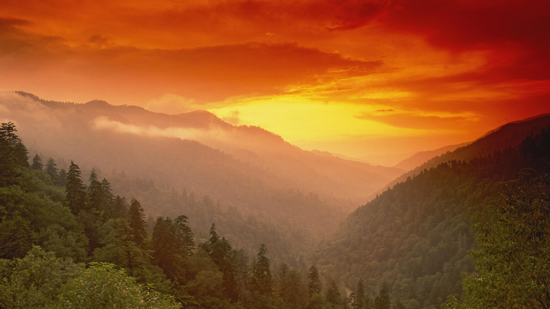 Great Smoky Mountains National Park Wallpapers
