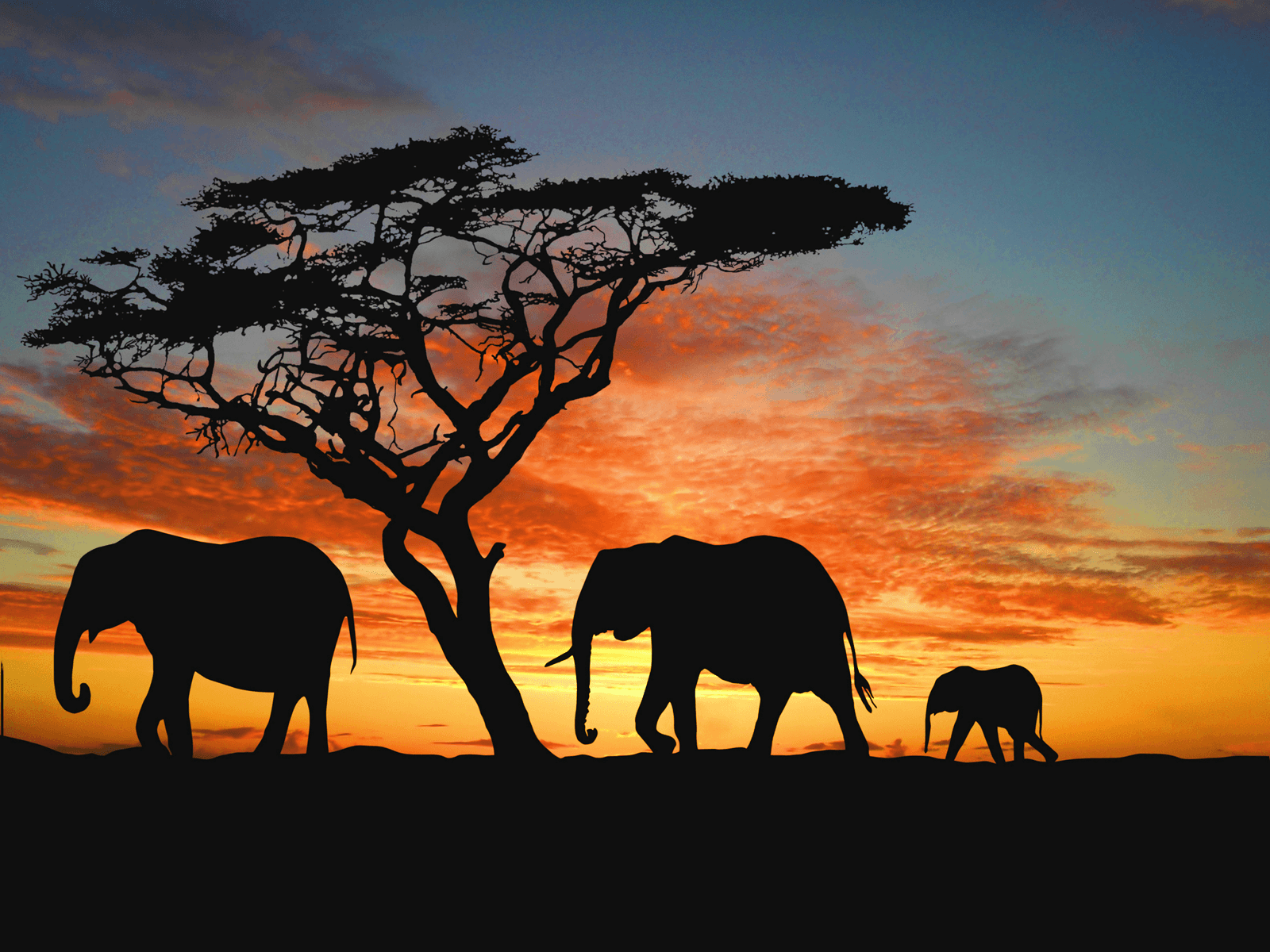 Great Wall Of Namib Wallpapers