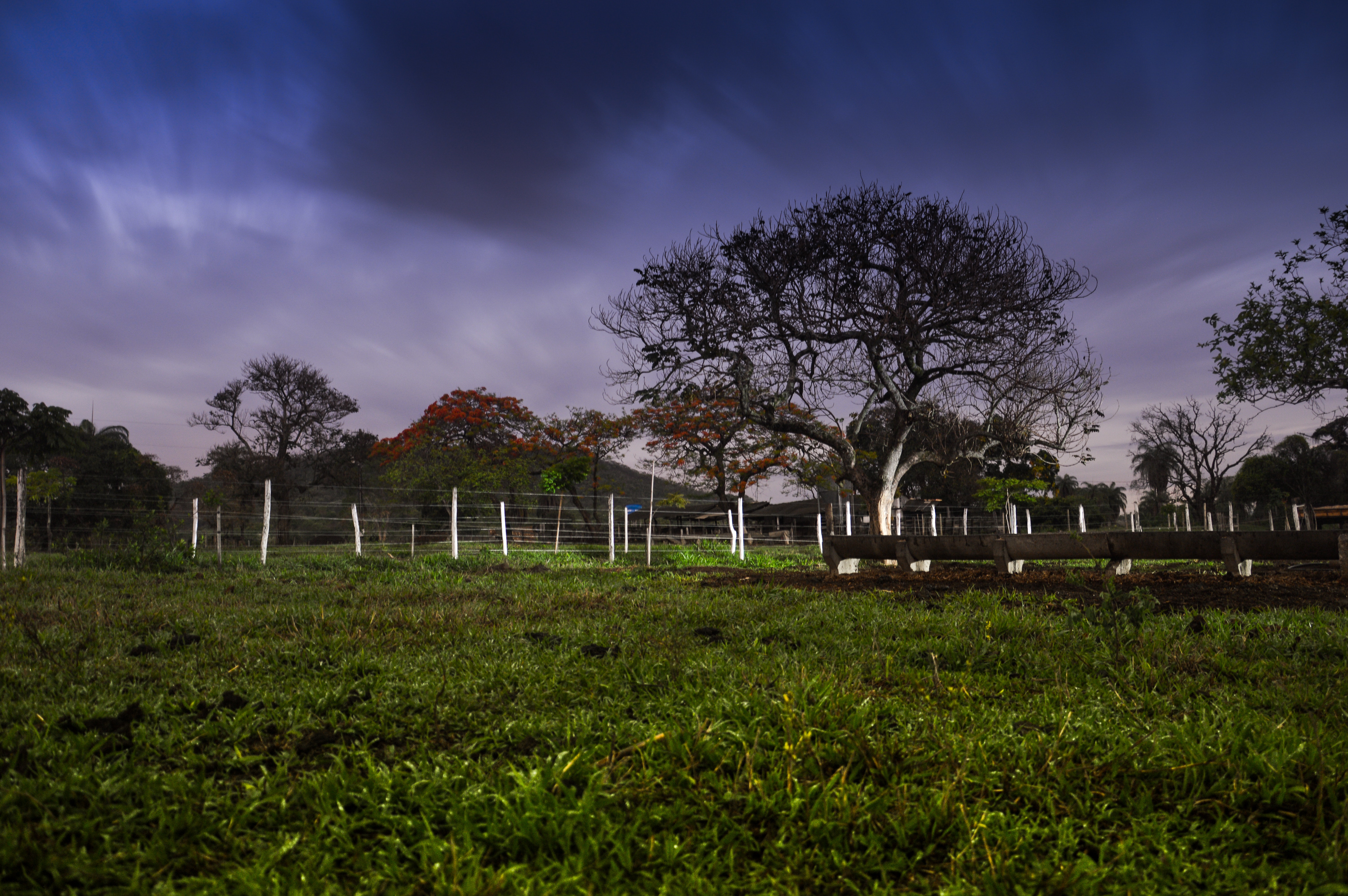 Green Grass And Fogg Under Purple Sky During Sunset Wallpapers