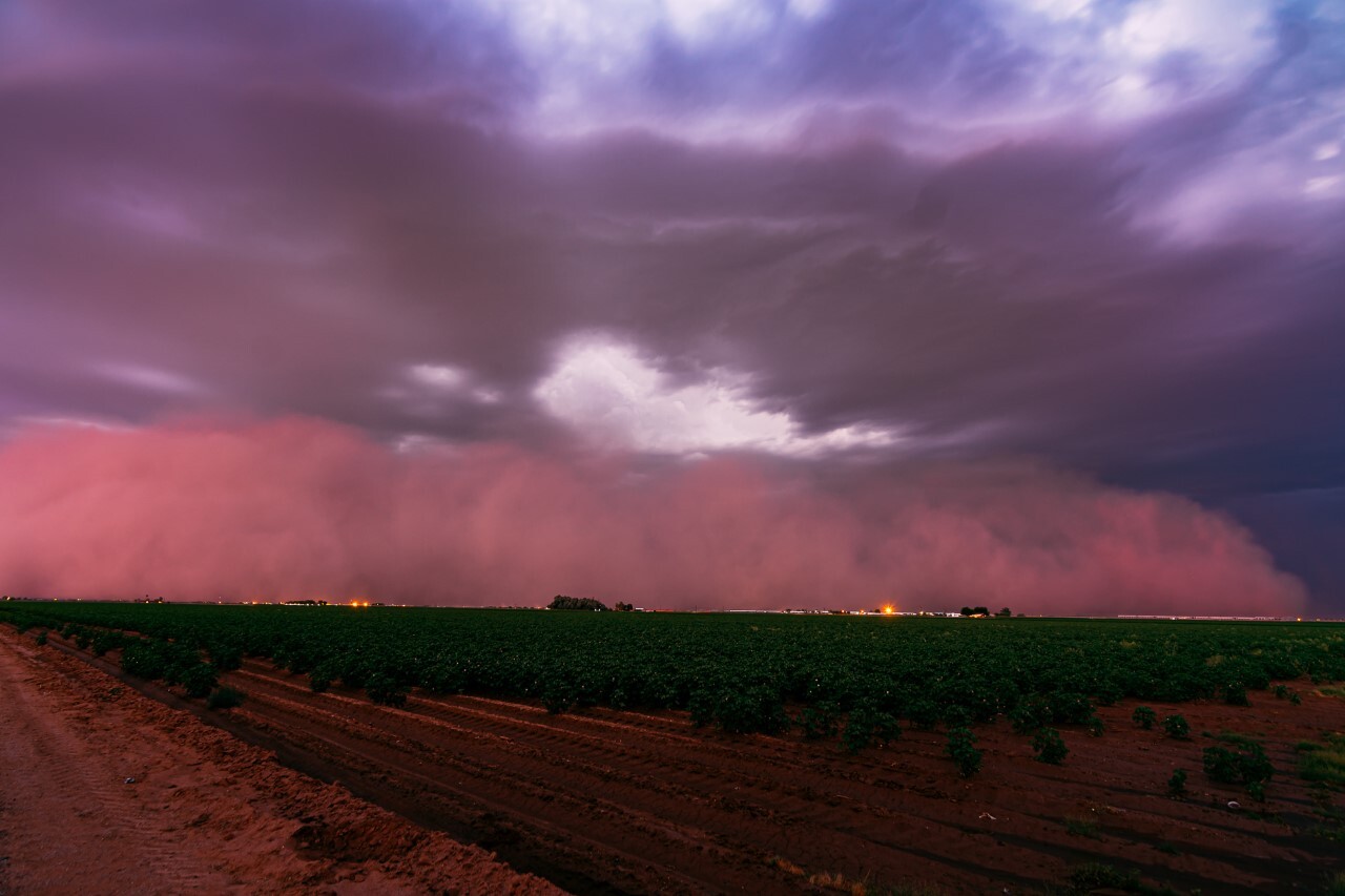 Green Grass And Fogg Under Purple Sky During Sunset Wallpapers