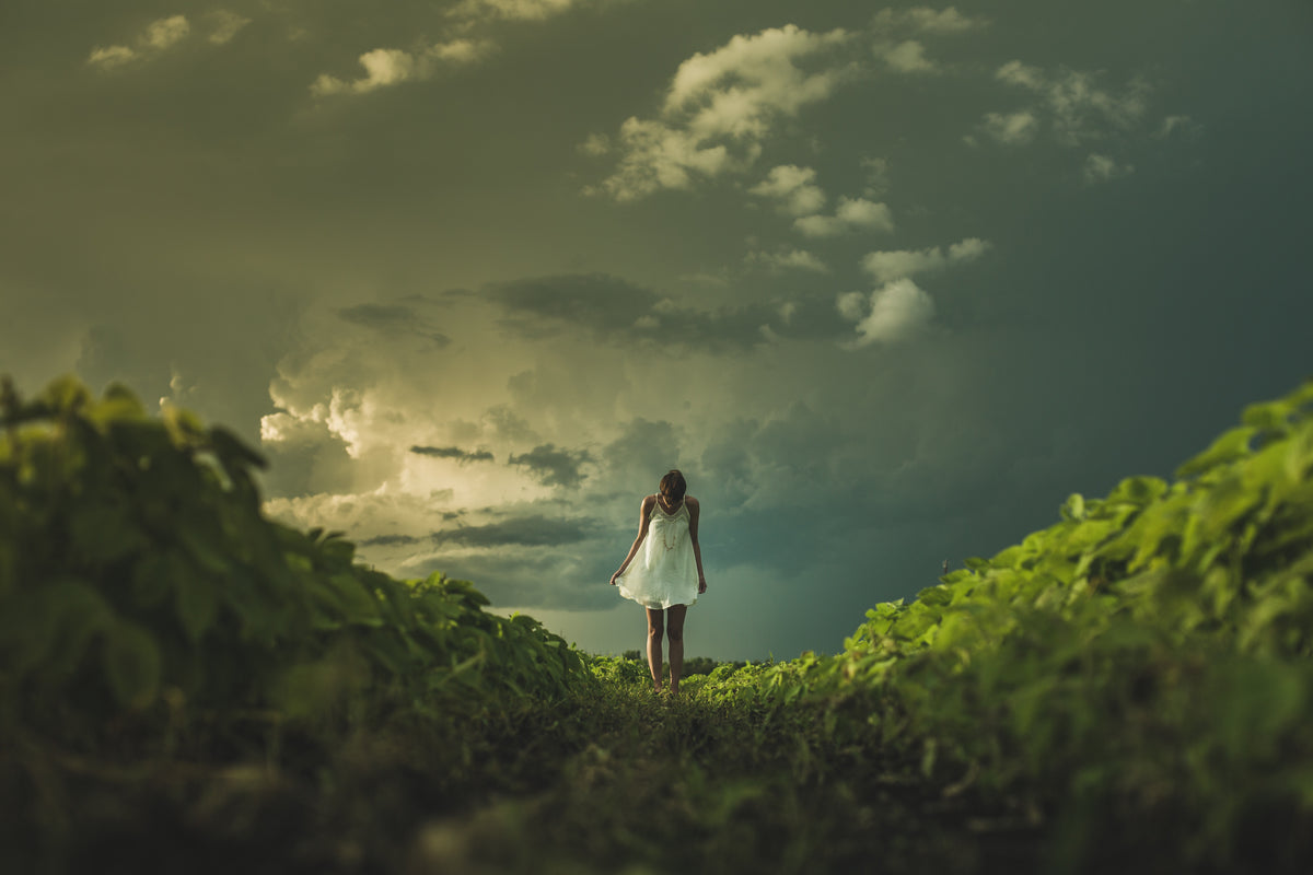 Green Grass And Fogg Under Purple Sky During Sunset Wallpapers