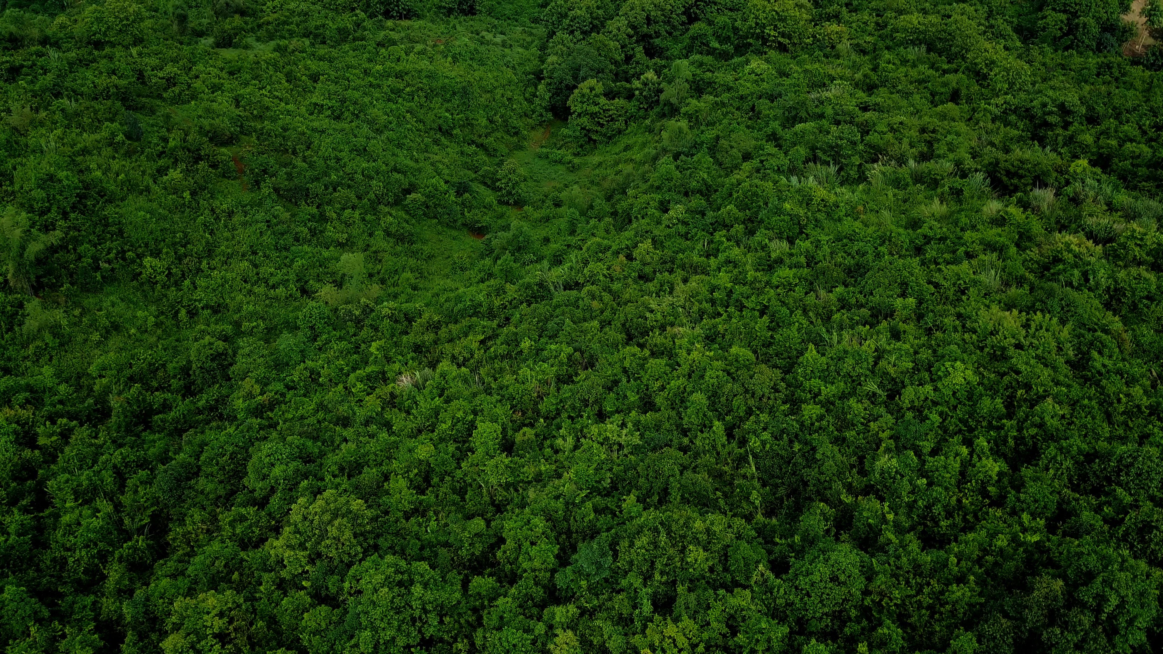 Green Island Drone View Wallpapers