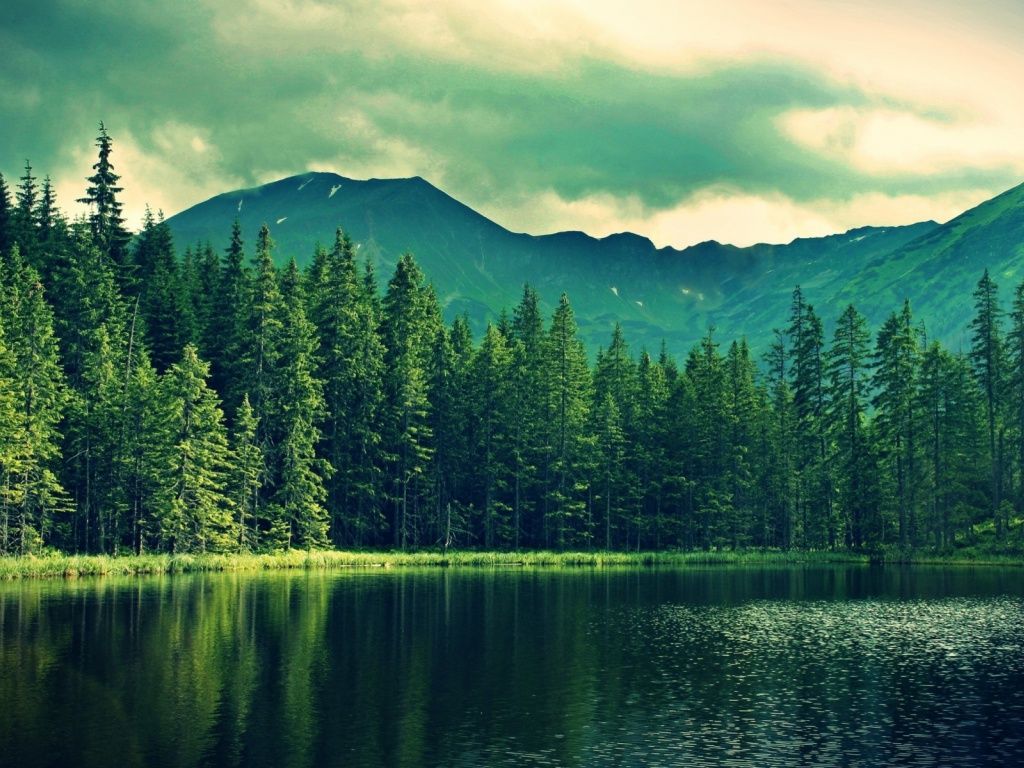 Green Trees Covered Mountains Surrounded By Occean Wallpapers