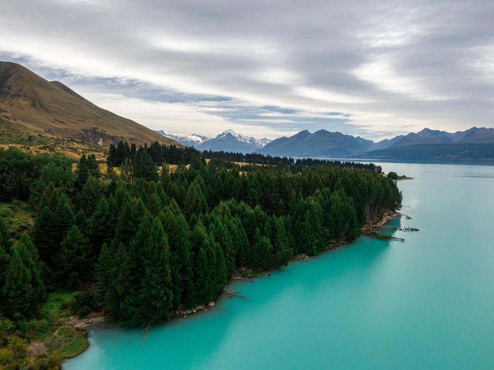 Green Trees Covered Mountains Surrounded By Occean Wallpapers