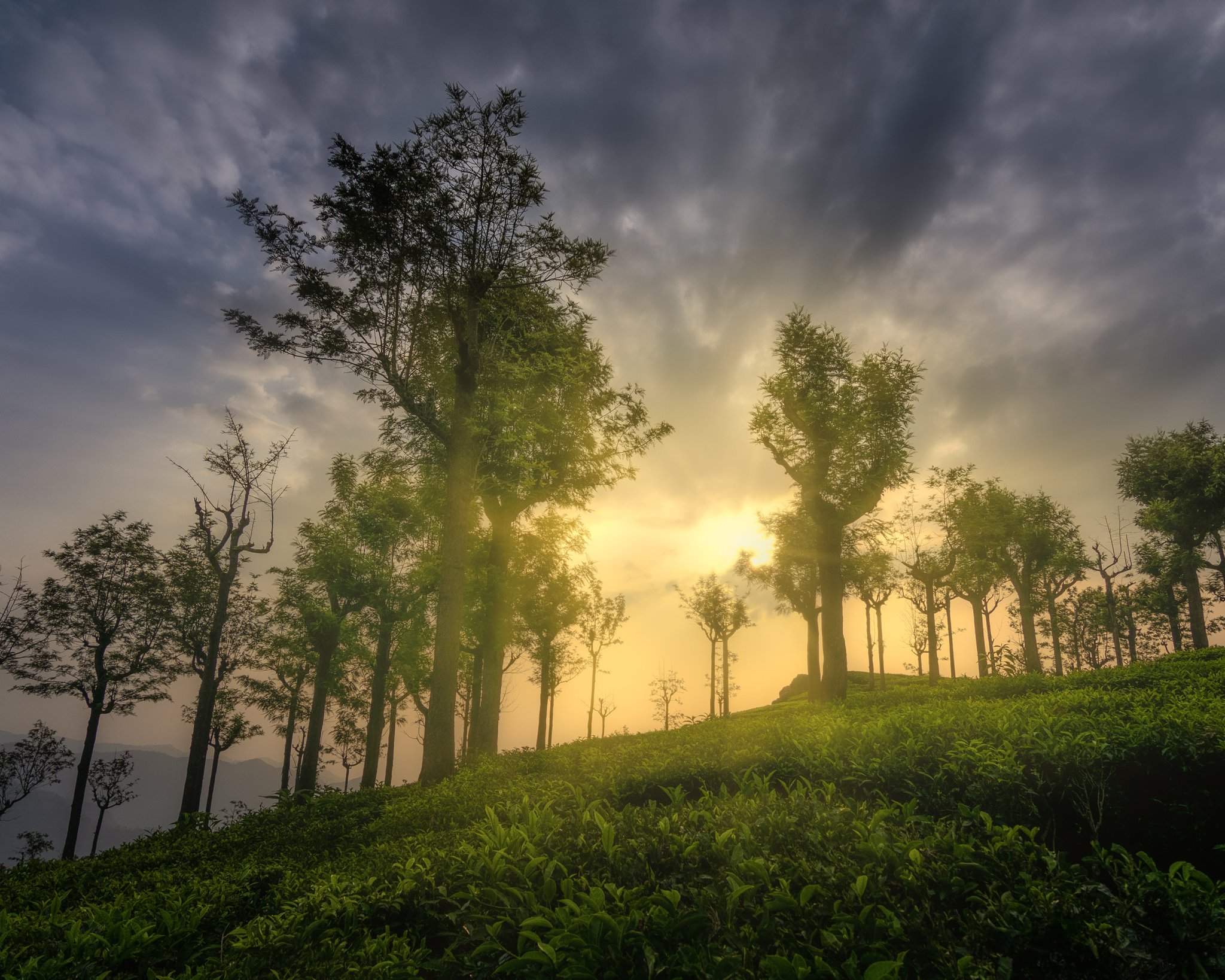 Greeny Landscape Sunrise 2021 Wallpapers