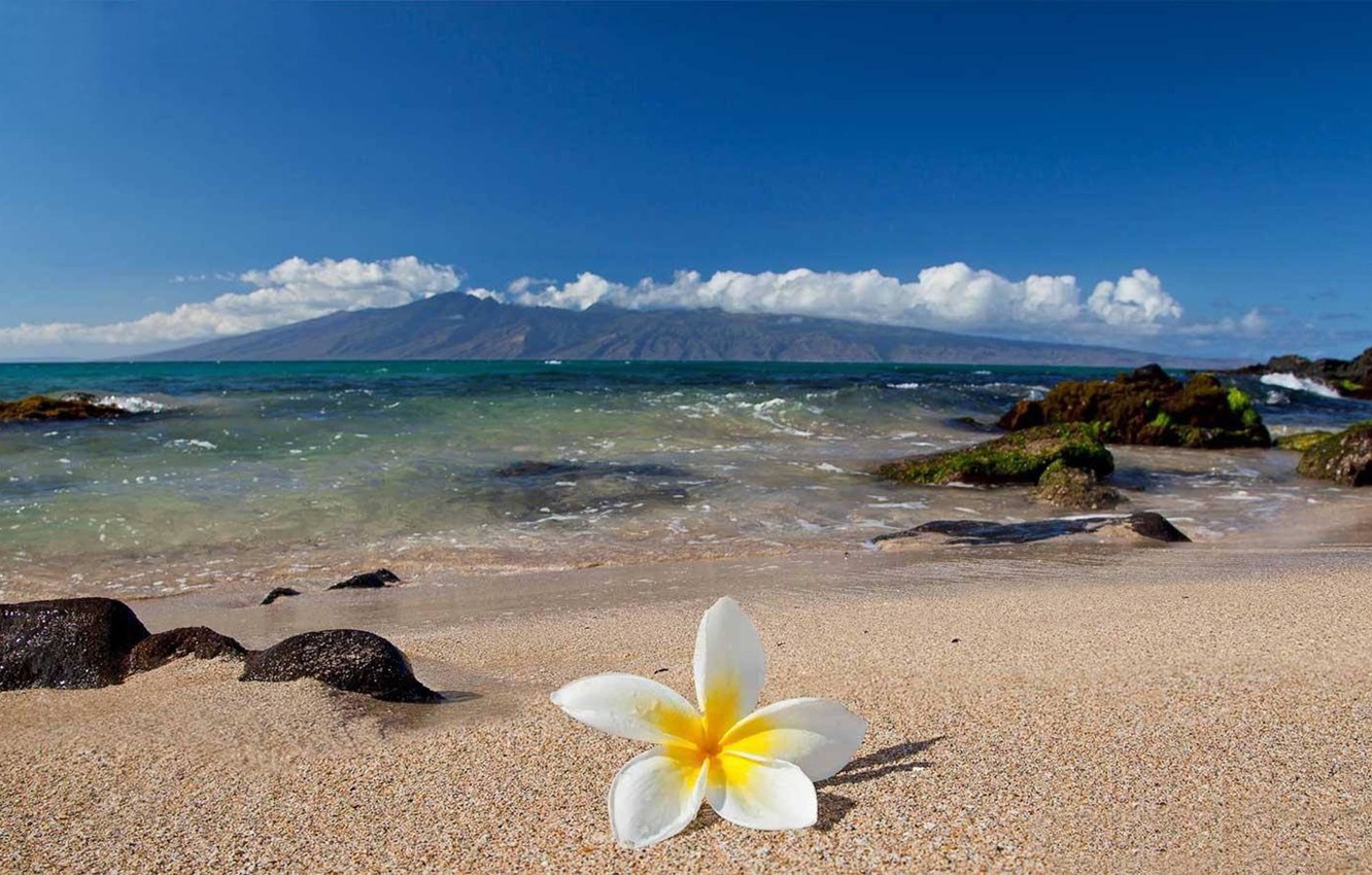 Hawaii Wallpapers