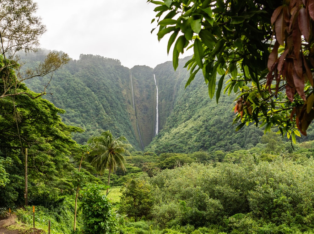 Hawai'I Volcanoes National Park Wallpapers