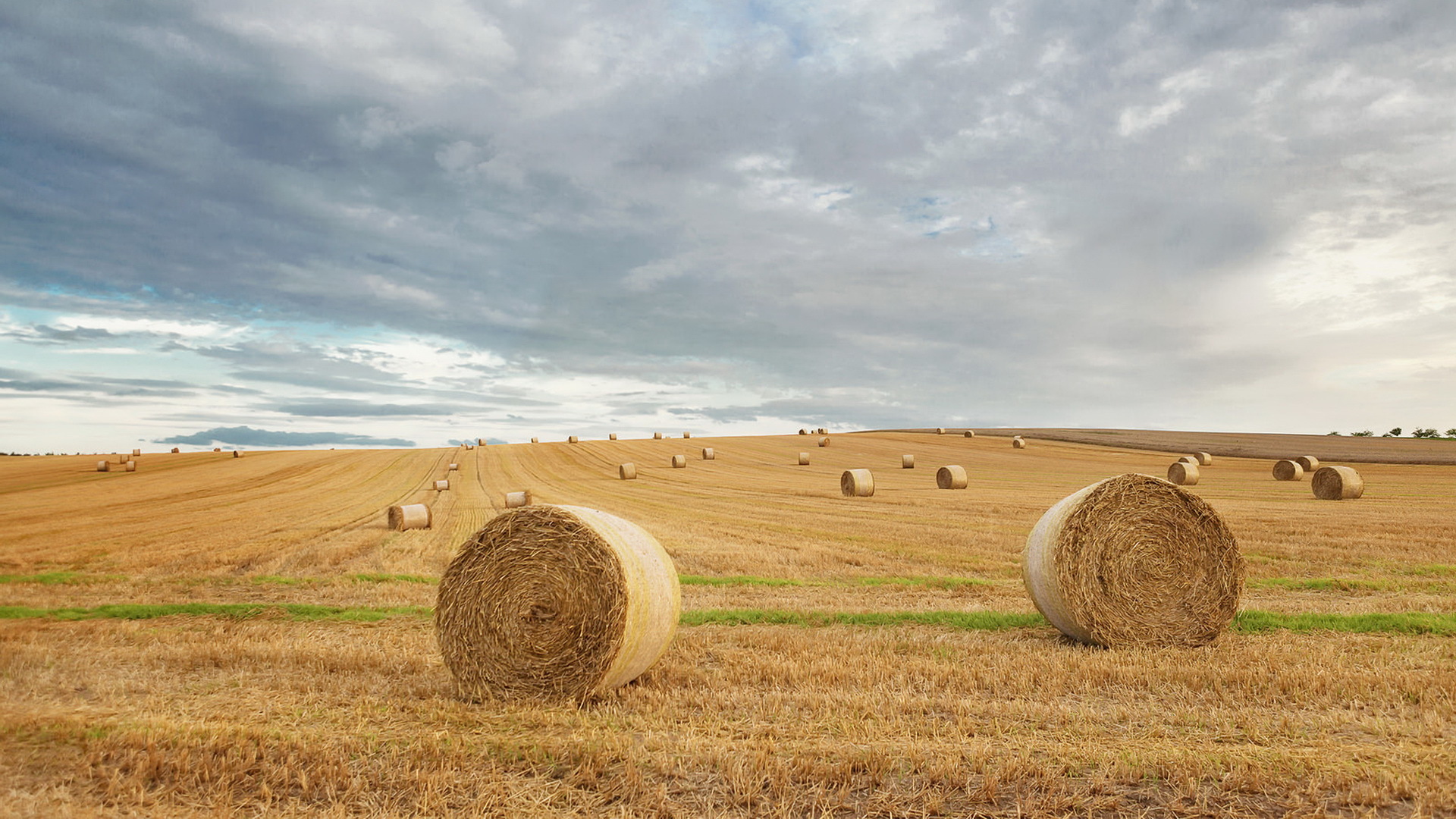 Haystack Wallpapers