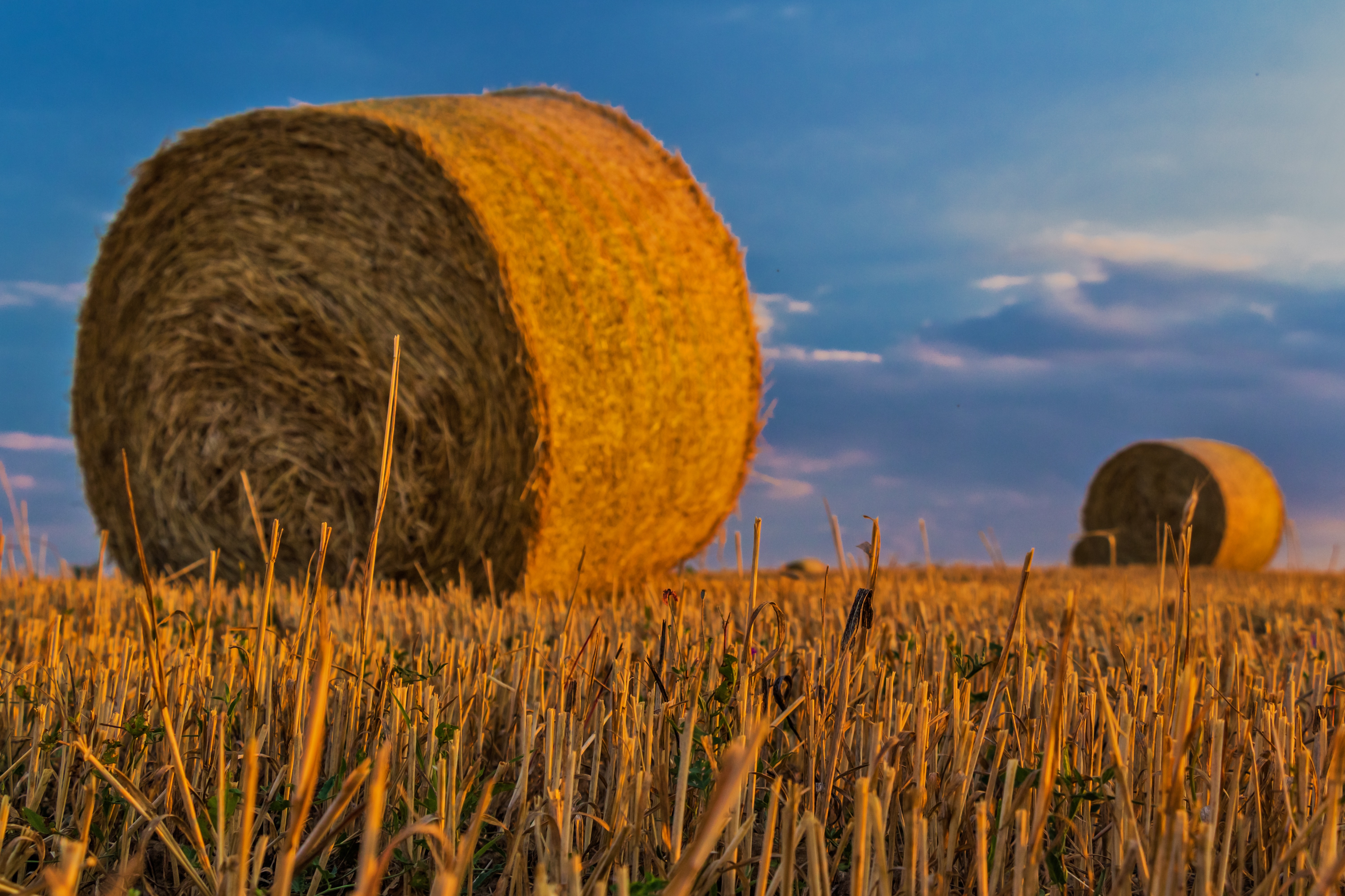 Haystack 4K Field Wallpapers