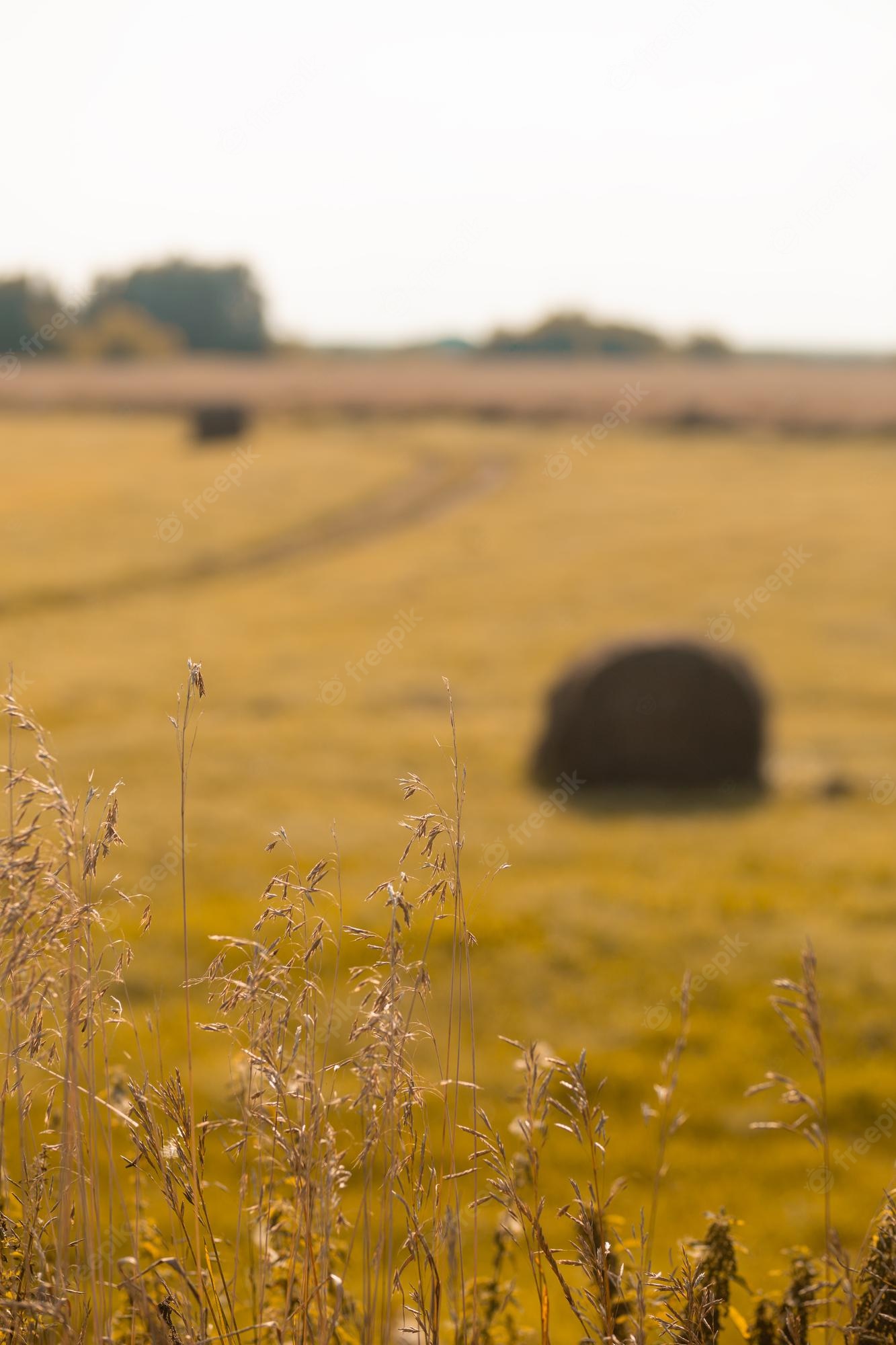 Haystack 4K Field Wallpapers