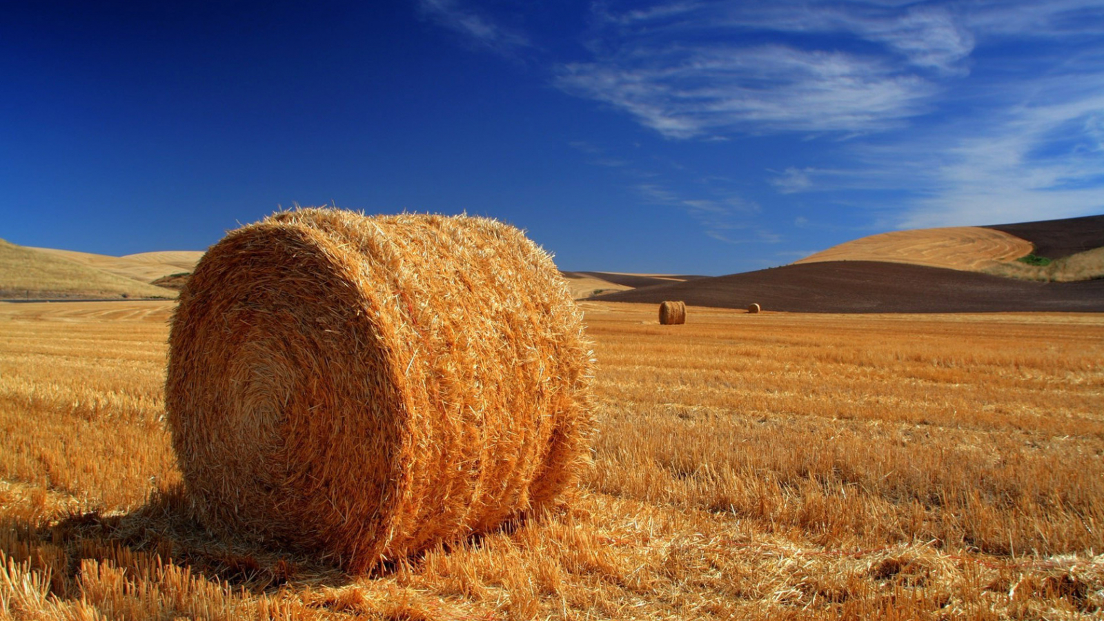 Haystack 4K Field Wallpapers