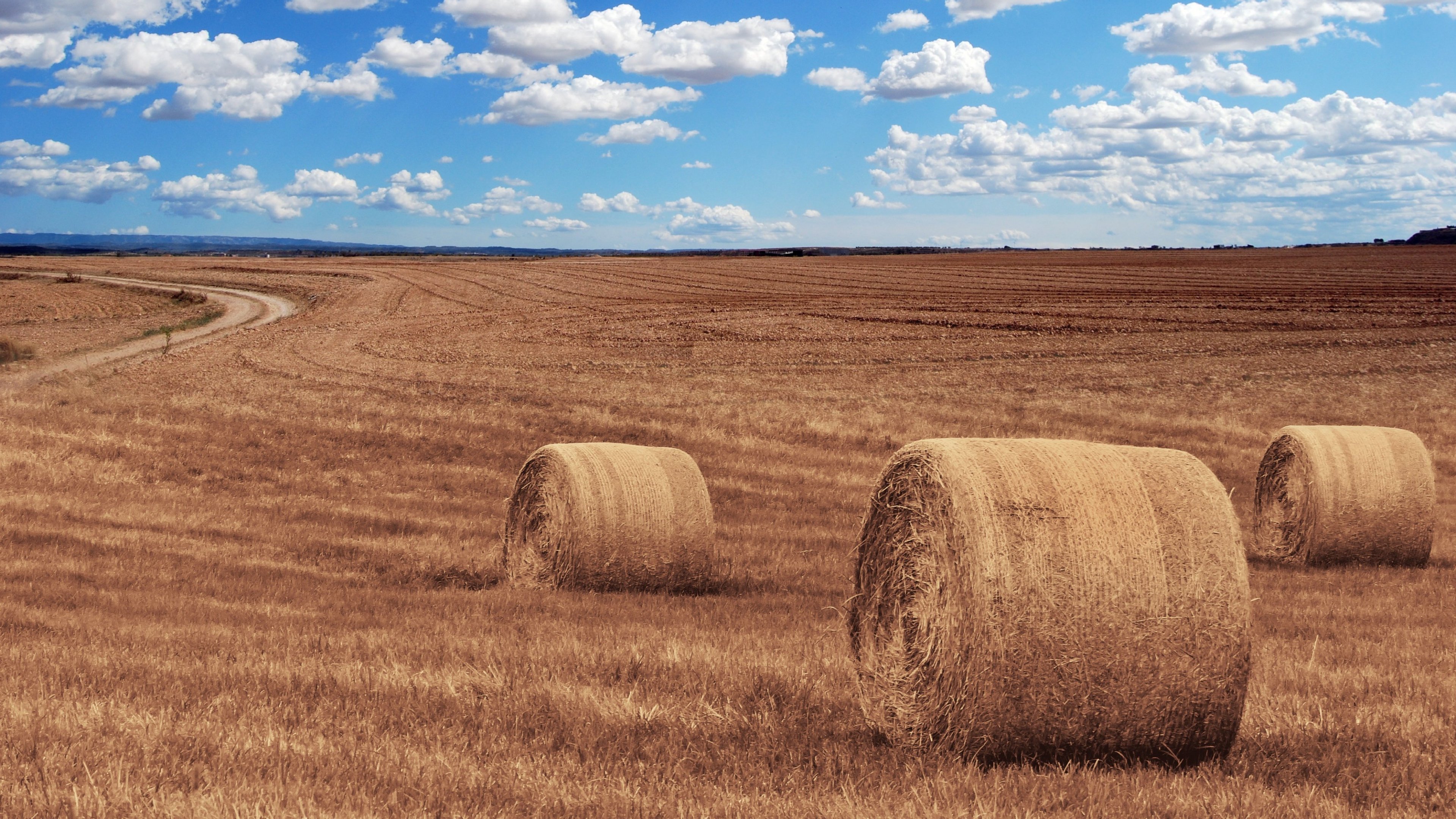 Haystack 4K Field Wallpapers