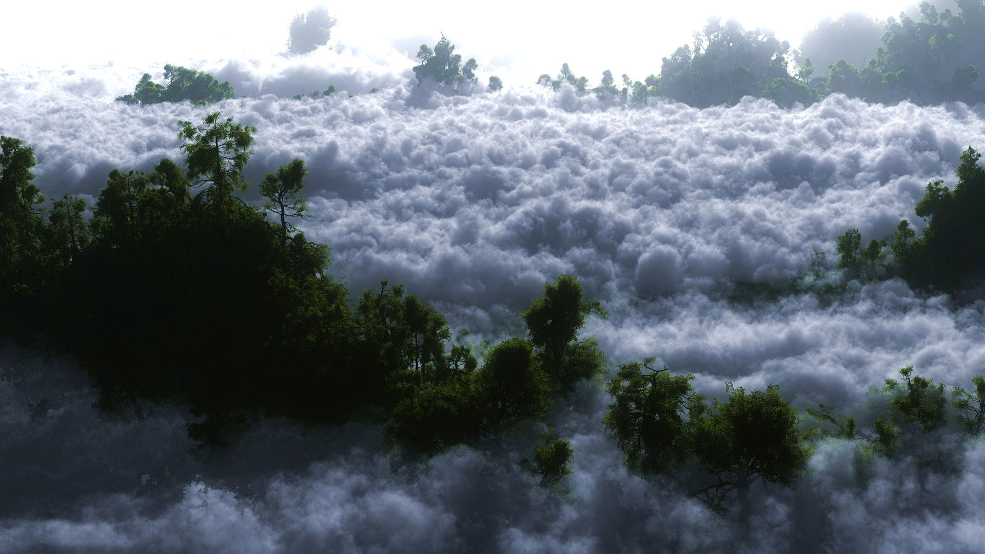 Hd Cloudy Forest Wallpapers