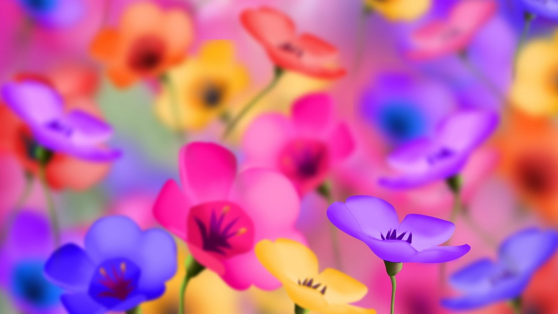 Hd Flowers Wallpapers