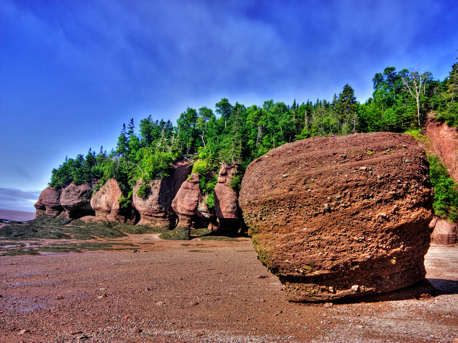 Hopewell Rocks Wallpapers