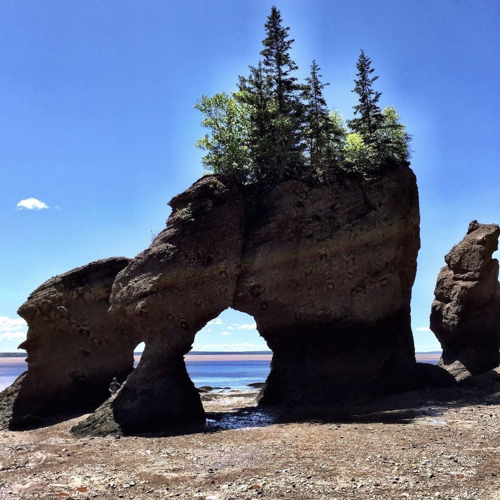 Hopewell Rocks Wallpapers