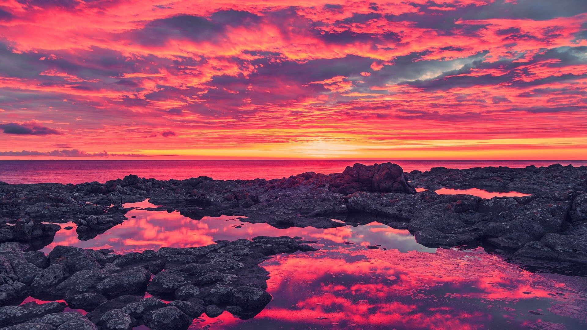 Horizon Pink Sunset Near Sea Wallpapers
