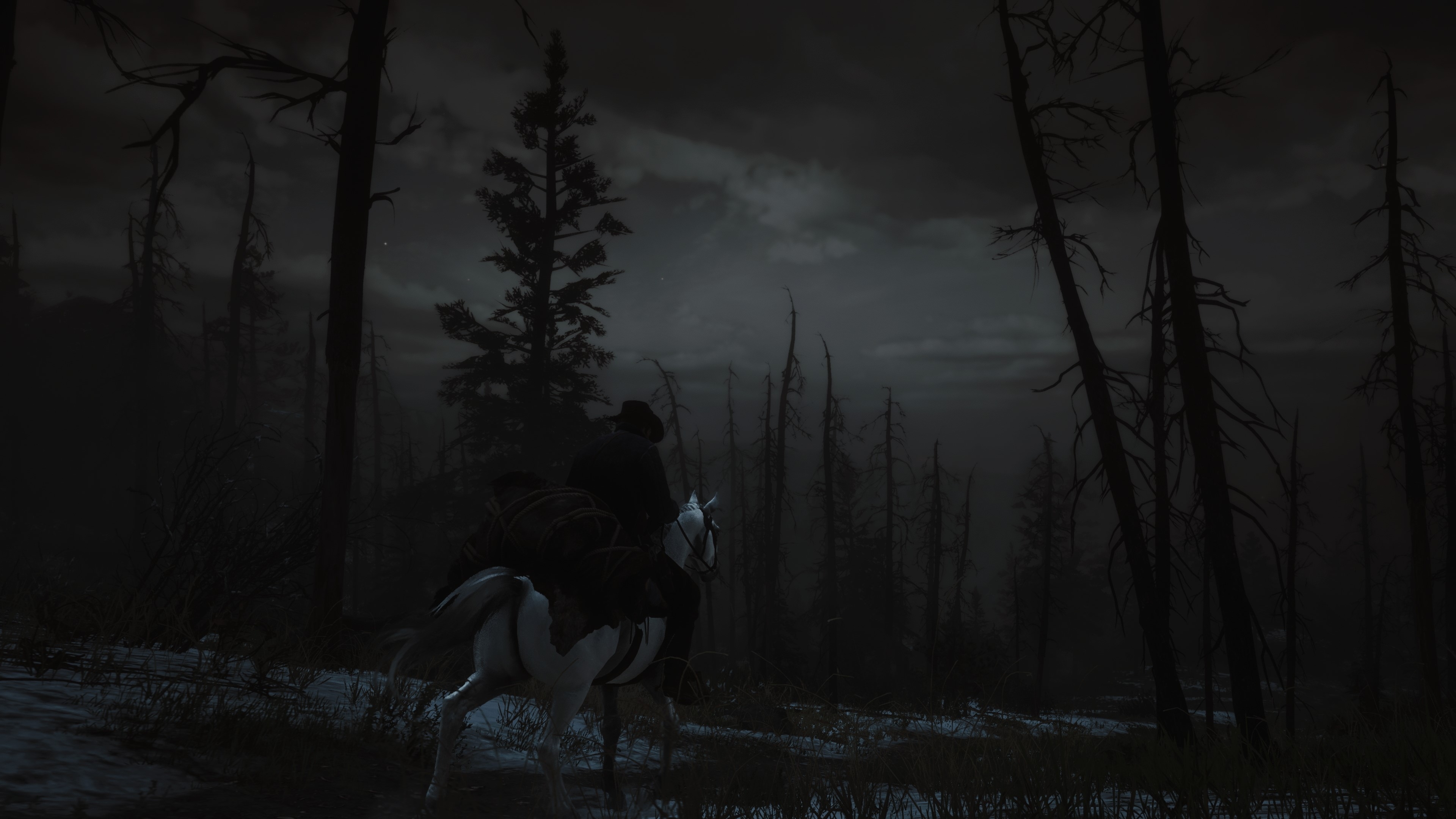 Horseman In Forest Dark Night Wallpapers