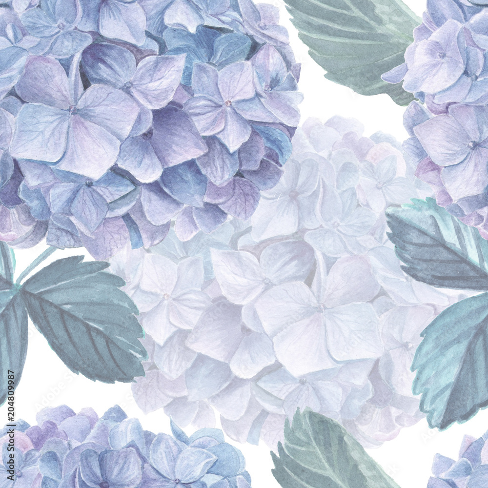 Hydrangea Wallpapers