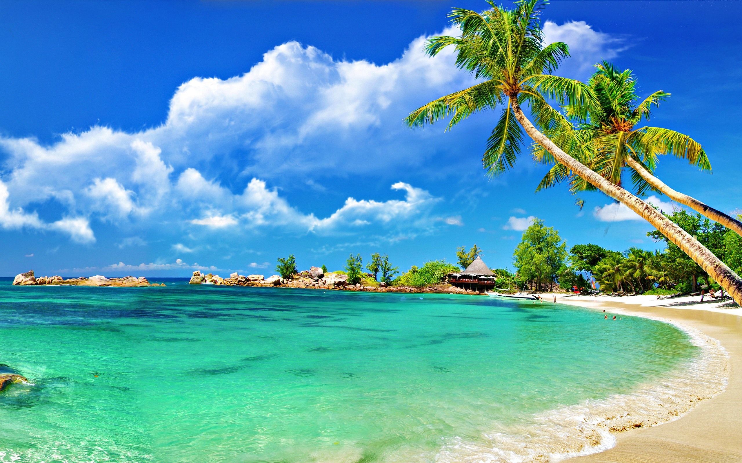 Tropical Beach Desktop Background