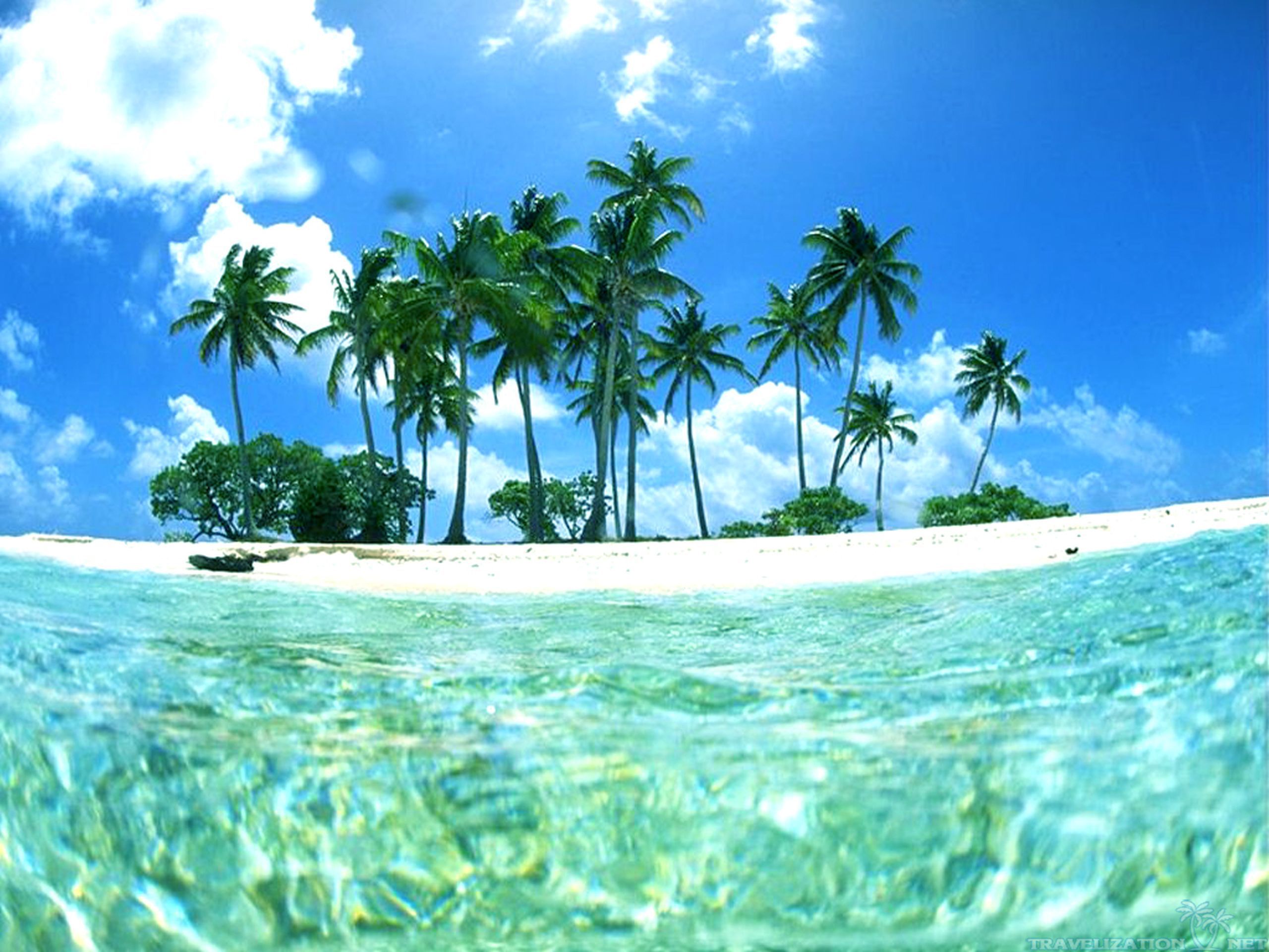 Tropical Beach Desktop Background