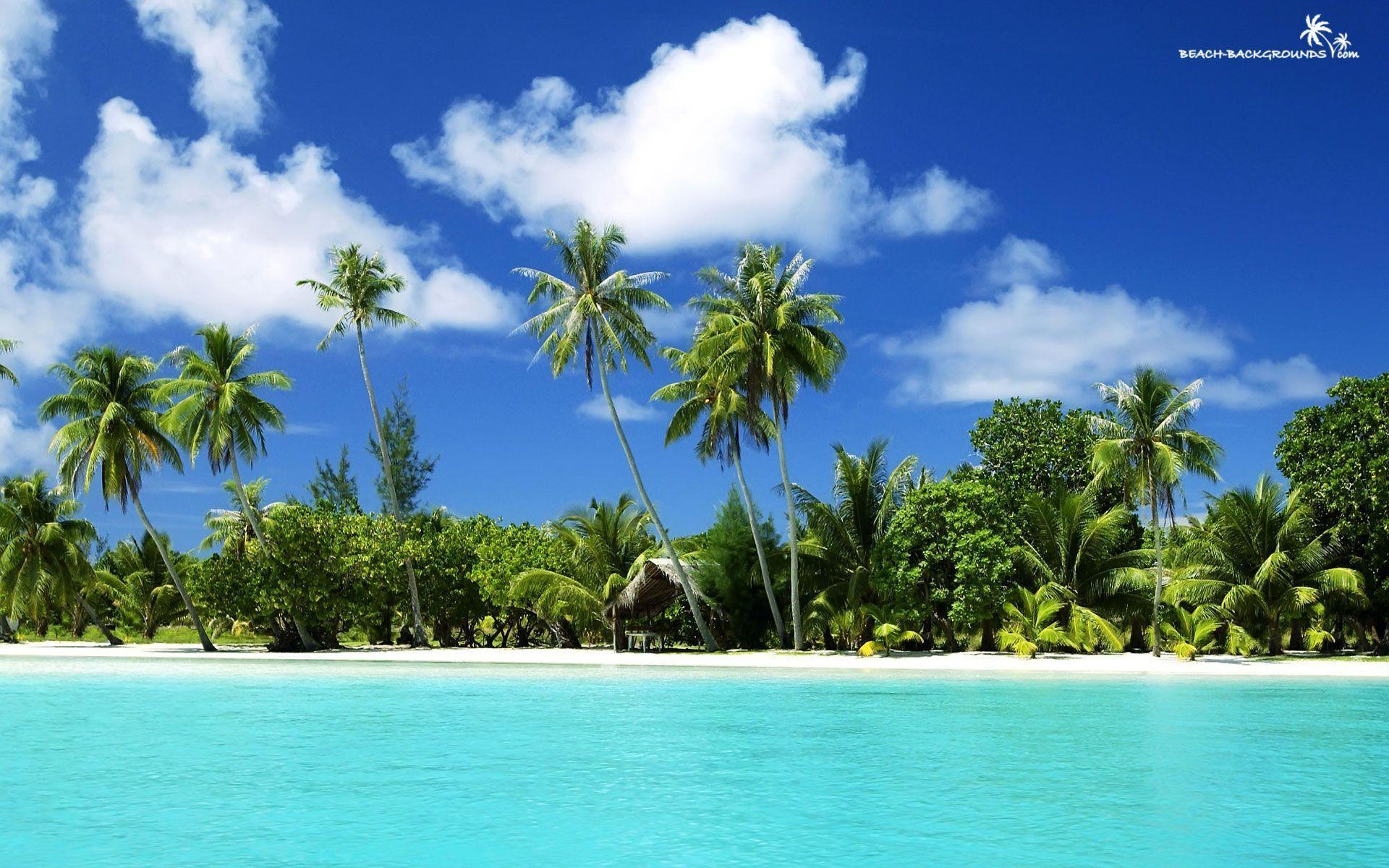 Tropical Beach Desktop Background