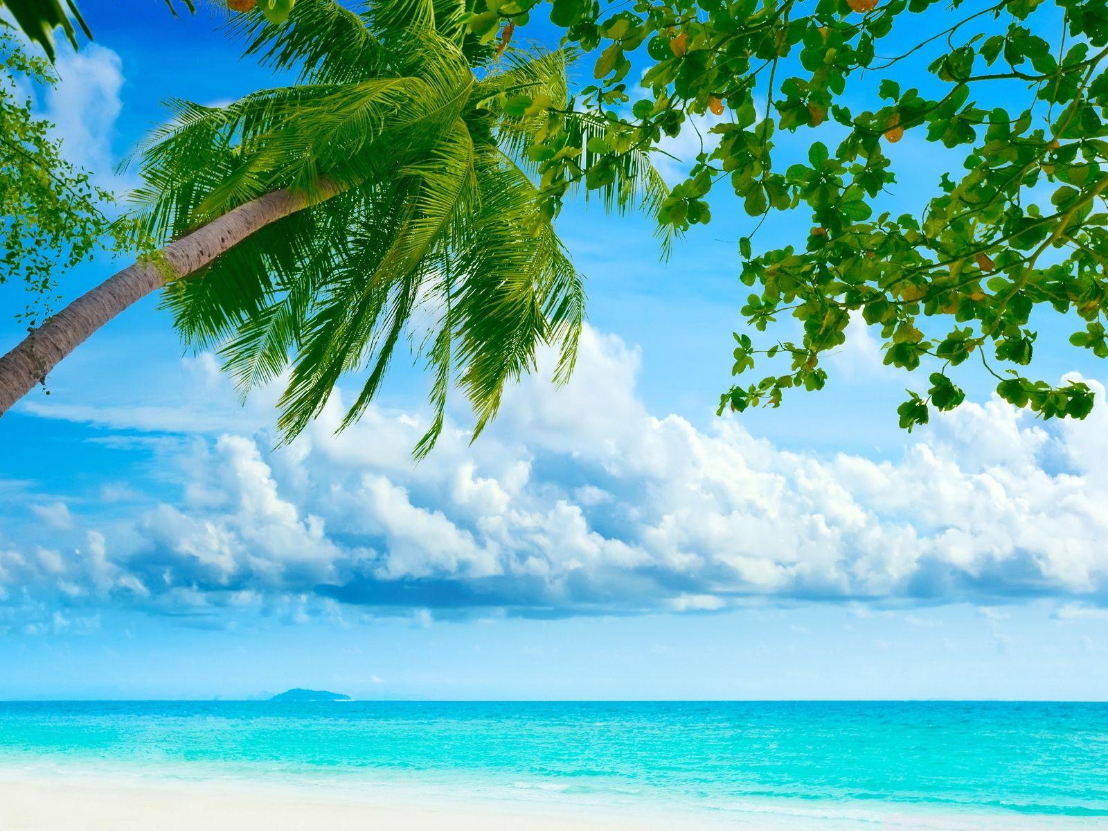 Tropical Beach Desktop Background