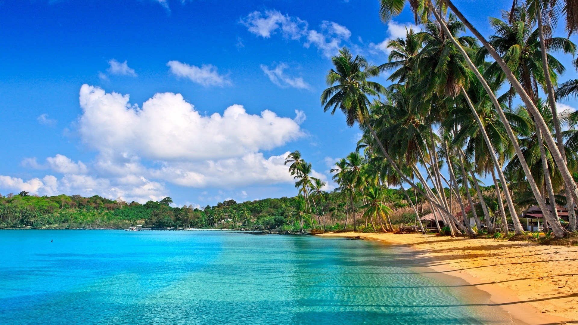 Tropical Beach Desktop Background