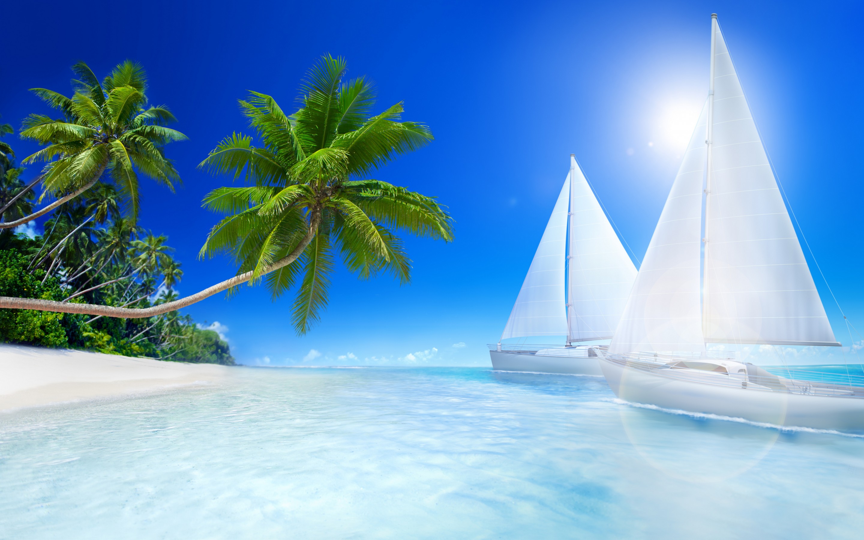 Tropical Beach Desktop Background